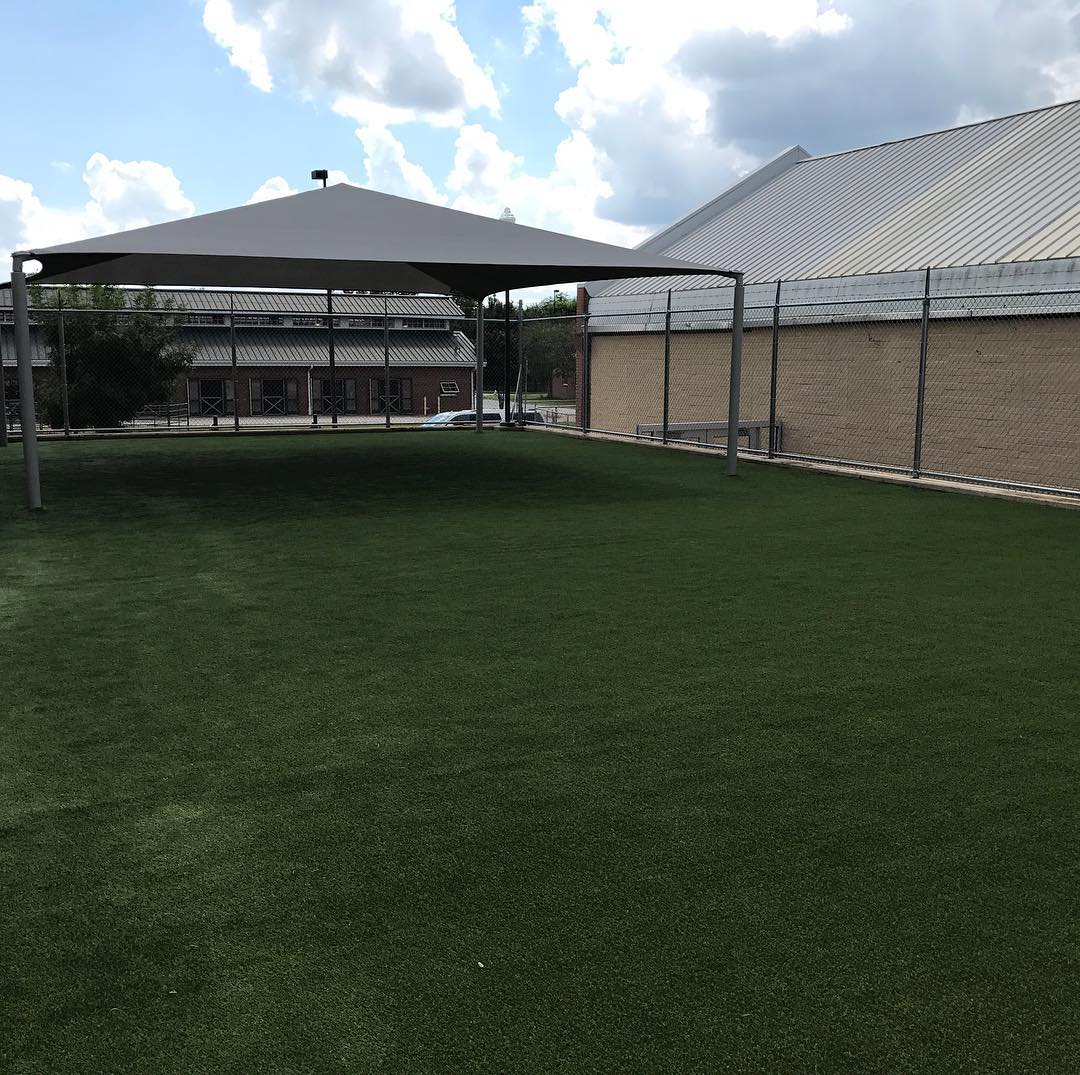 Fresh turf, happy paws! 🐾🌱 The new play area at Bailey Small Animal Teaching Hospital is looking better than ever. Perfect for pets to run, play, and recover in comfort!
#UltimateTurf #HappyPaws #PetWellness#petturf