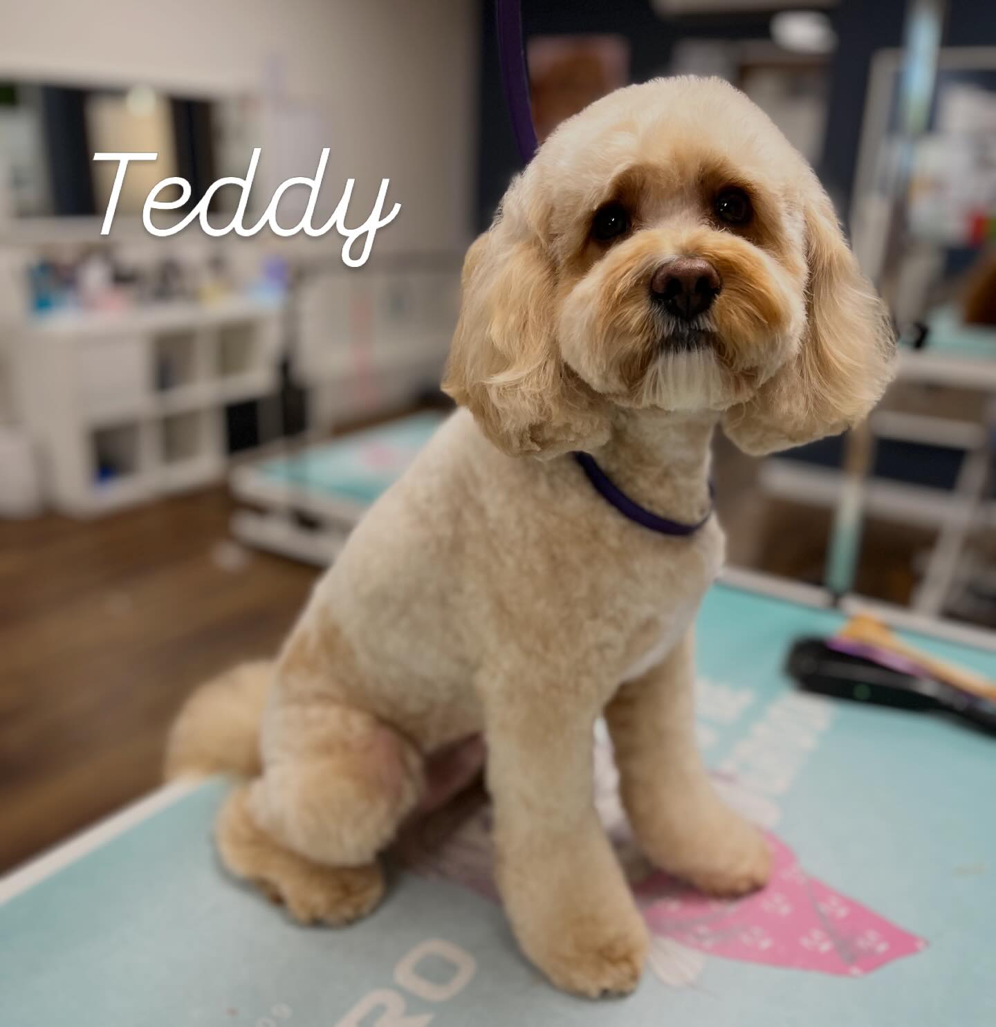 Brothers Teddy & Alfie enjoying their boys spa day 🧖 🛁