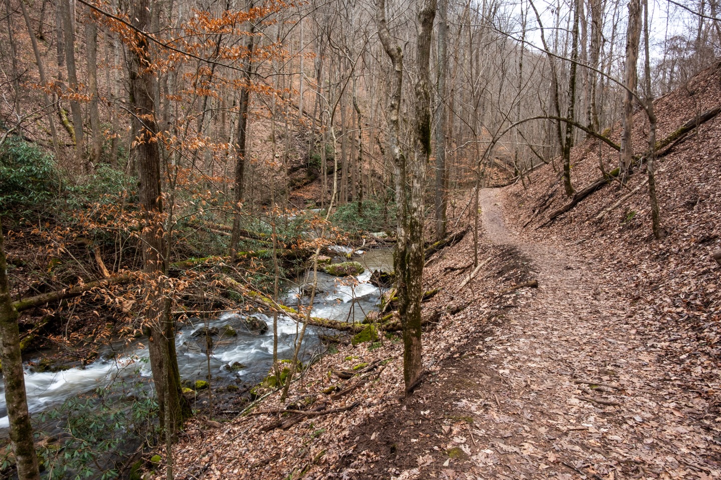 Laurel Run Falls Trail
Camera: FujiFilm XT-5
Lens: FujiFilm 16mm f2.8
Filter: none
#trail #photography #landscapesphotography #tennessee #fujifilmx_us