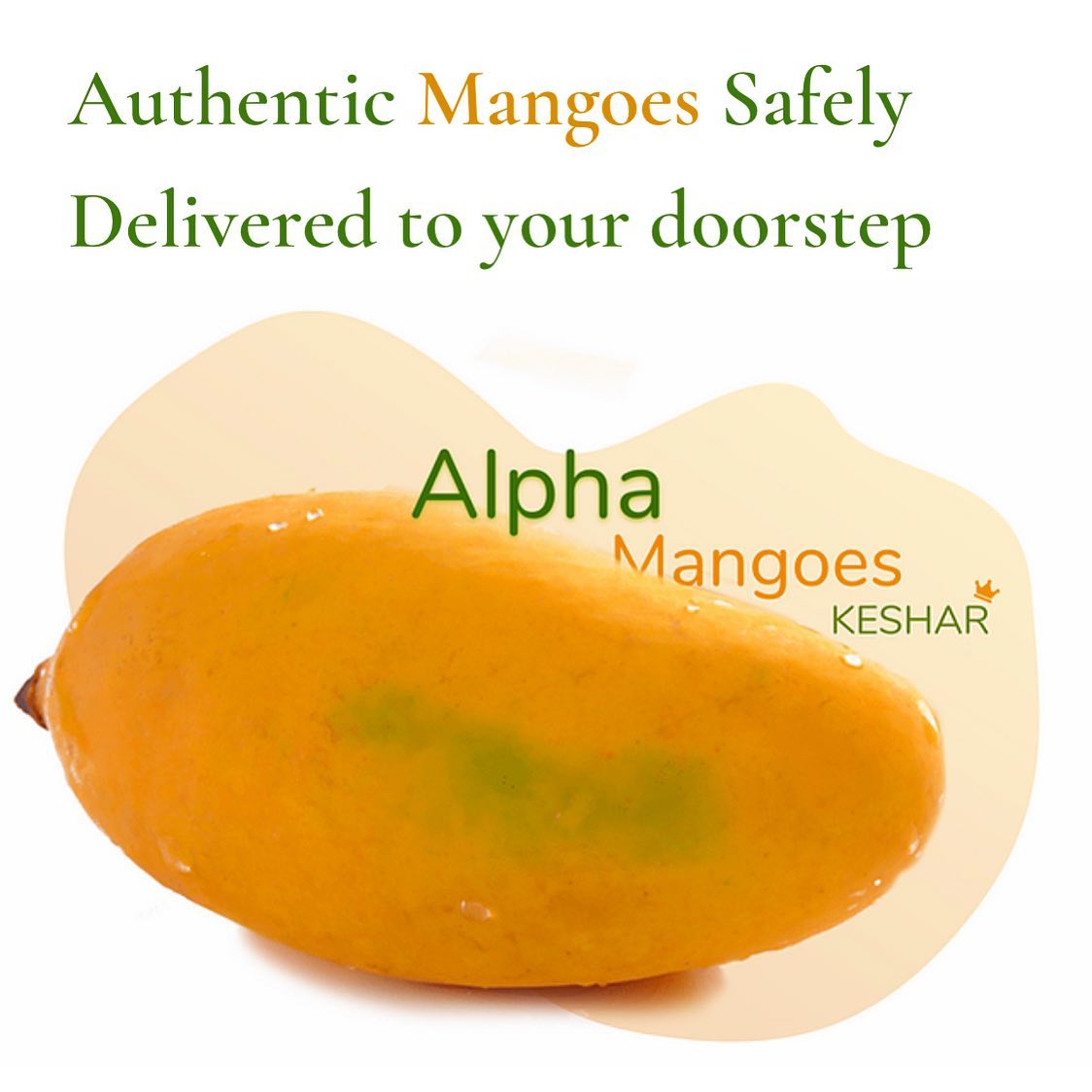Best quality keshar mangoes!! Order now!