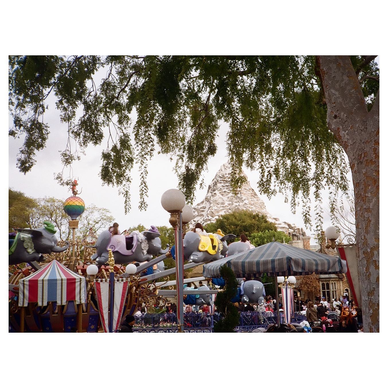 🏔
📷: canon sureshot supreme quartz date / fuji 200
#autoboy3qd #35mm #canon #canonsureshotsupreme #fuji200 #fuji #fujicolorc200