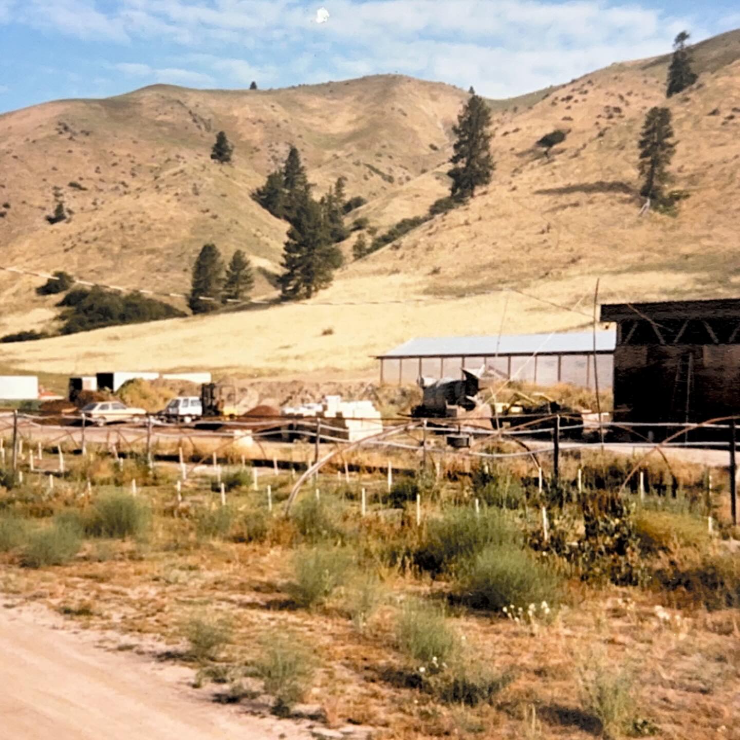 Throwback Thursday! This was before our office and a large portion of our greenhouses were built. Believe it or not the pipes and skeleton of a greenhouse you see front and center was actually used to grow plants. Can you imagine having to crouch down to tend to the plants? Circa early 1980’s.