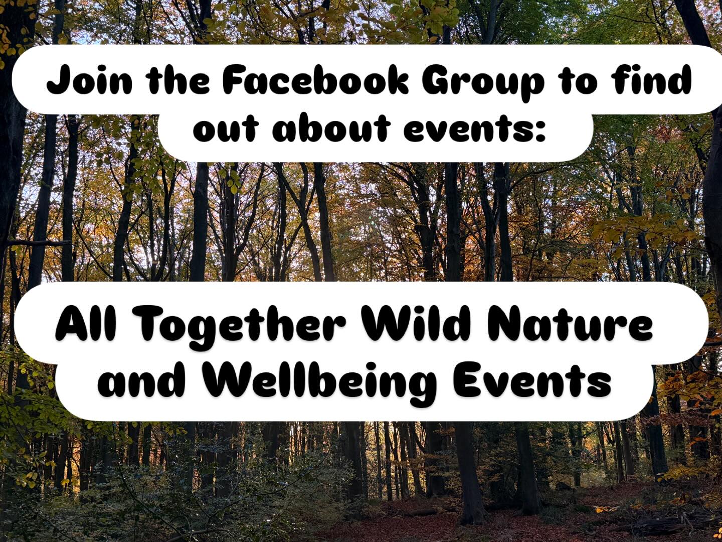All events will be advertised in here, and we can share stories, dates and ideas.
Welcome!
#alltogetherwild