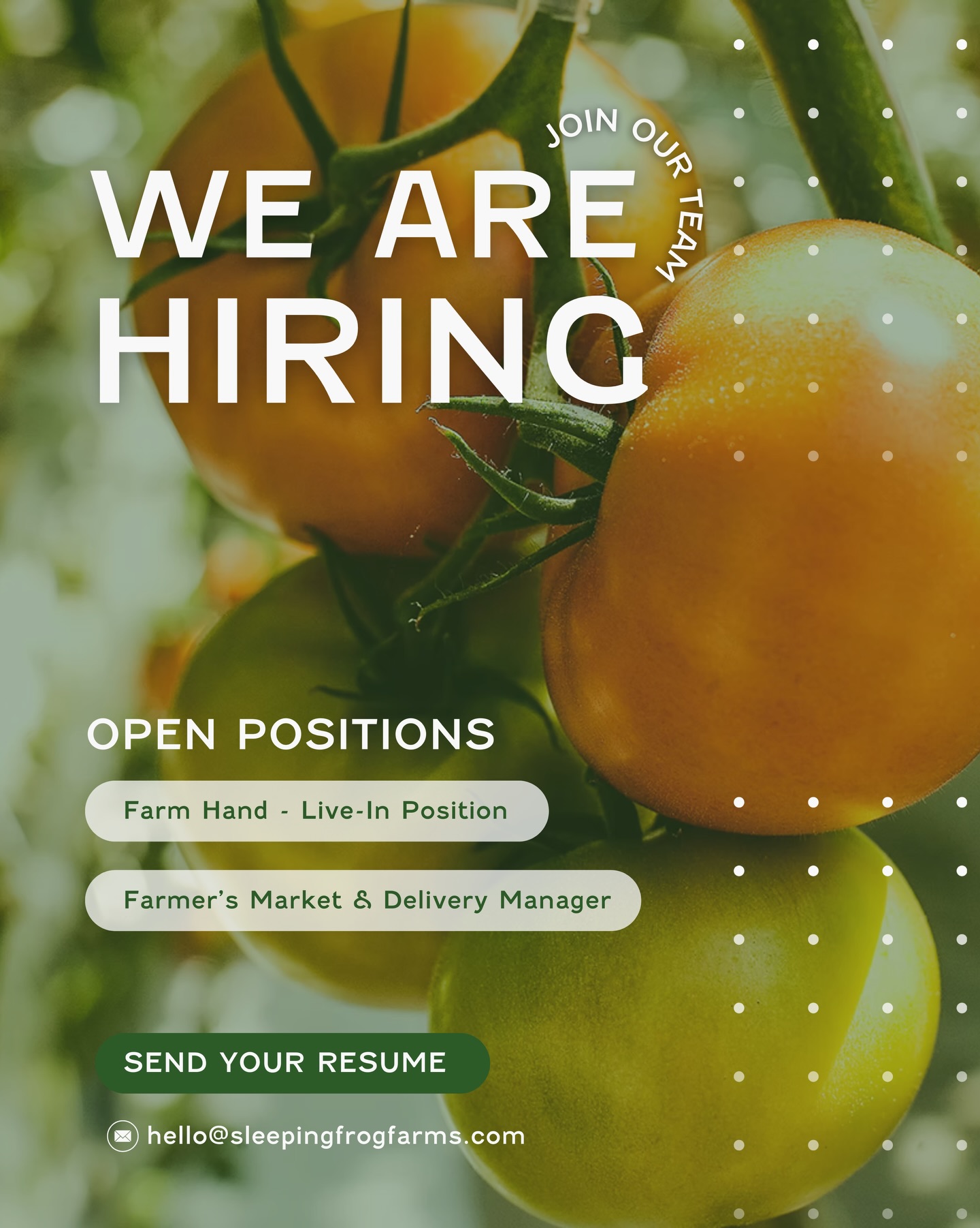 🌱 We’re Hiring at Sleeping Frog Farms!
We’re growing our team and looking for passionate people to join us! 💚
Live-In Farm Hand – dive into hands-on farm life with daily care of crops, animals, and everything in between
Farmer’s Market & Delivery Manager – help bring our farm to community markets, manage deliveries, and share our story
If you love sustainable farming, being outdoors, and being part of a small farm family — we want to hear from you! 👩🏽🌾
✉️ Send your resume to hello@sleepingfrogfarms.com
