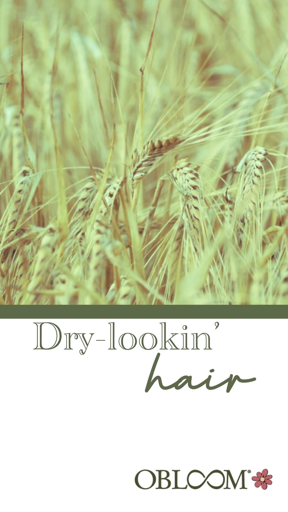 🤭if this is you, we need to talk…
When I started my hair journey I didn’t know how many of these “traditions” were resulting in dry, frizzy, break-y hair that never seemed to grow ☹️
❓Got hair & scalp questions?
I’m happy to help! Post them below and let’s fix your dry, frizzy, unruly hair! 🤗
.
.
#dryhair #frizzyhair #fixmyhair #hairadvice #bighair #burlon #hairdreams #naturalhair #ontariomade