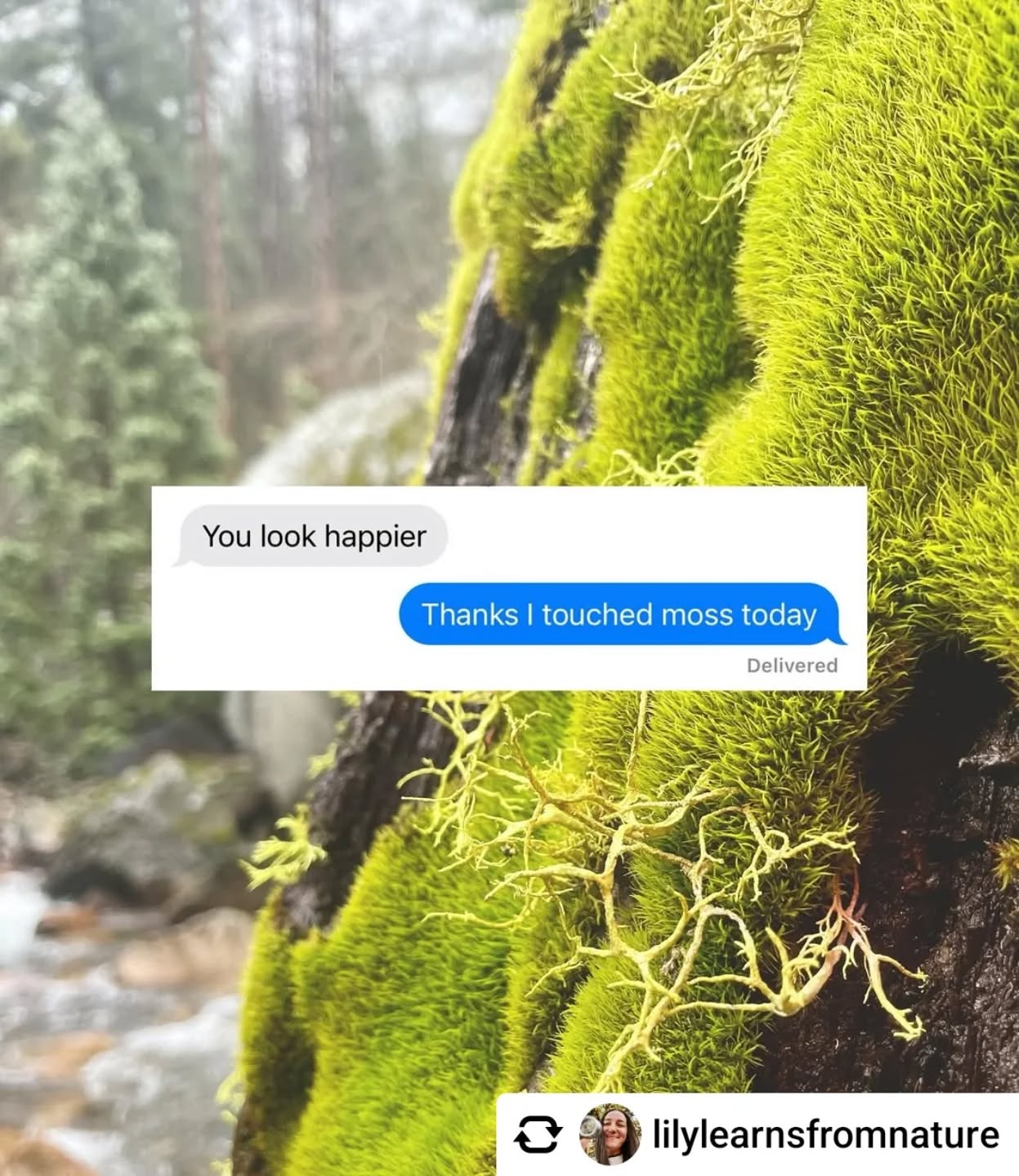 REPOST @lilylearnsfromnature
What gives you joy?
Seek it out and cherish it. And don’t forget that spending time outside is literally good for our bodies and brains 💚
Ik had het niet beter kunnen zeggen.
#naturememes #natureisamazing #natureheals #natureinspires