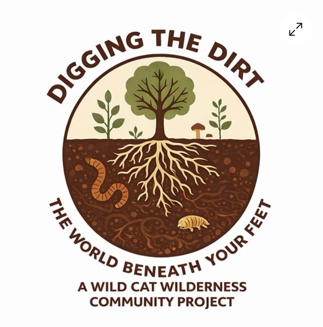 Please read our new guest blog from Maria at Wild Cat Wilderness on the new exciting Lewisham project for 2026 all enthusiastic artists and gardeners wanted. link in bio ☝️ @wildcatwildernesscatford
