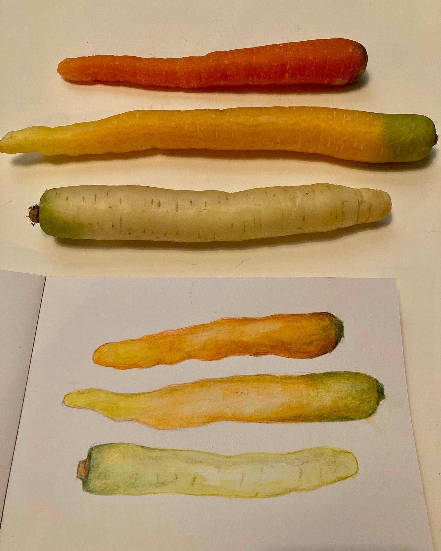 La carotte, selon la Diététique Chinoise!
Un dessin perso, ma recette préférée!
Une légende raconte qu’à l’origine, la carotte était blanche (proche du panais) mais qu’elle changea de couleur lorsqu’une jeune martyre chrétienne fut poignardée dans sa cuisine, en épluchant les carottes. Le sang qui jaillit de son corps teinta a jamais les carottes blanches.
Depuis qu’on est enfant, on nous vante les bienfaits des carottes: pour être belle, pour avoir les fesses roses, pour être aimable, pour avoir une meilleure vue…
Selon la Diététique Chinoise, la carotte est de nature neutre, de saveur douce, de tropismes Poumon/ Rate/ Foie: elle tonifie le QI, surtout du système digestif, elle harmonise le QI de la Rate et Estomac et traite l’inappétence, la digestion difficile et la distension abdominale.
Elle abaisse le QI de l’Estomac mais aussi du Poumon et traite la toux.
En tonifiant la Rate, elle favorise la production du Sang et traite l’anémie, surtout par vide de Sang du Foie. Pour cette raison, elle améliore la vision.
Elle traite la sécheresse de la peau, donne bonne mine grâce à son fort taux de bêta-carotènes.
Elle détend le Foie, d’où sa réputation de rendre aimable!
Ma recette préférée: La tarte aux légumes rôtis!
La recette très bientôt sur mon blog!
#carotte #carottes #carrot #carota #vegetables #légumes #legumesracines #bienfaits #alimentsanté #alimentsquirendentheureux #alimentsquisoignent #bellepeau #legumesrotis #dietetique #dietetiquechinoise #madreperlamtc