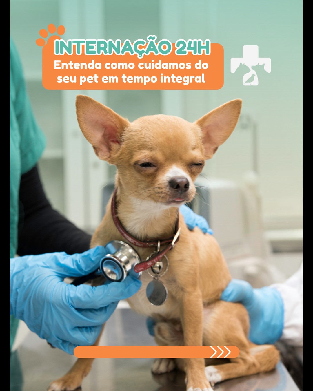 Você sabia que o nosso hospital conta com internação semi-intensiva?
Isso significa que seu pet recebe acompanhamento contínuo, com toda a atenção e carinho que ele merece de dia e de noite. 💙
Equipe disponível 24h
Estrutura moderna e segura
Exames e monitoramento constantes
Atualizações para os tutores com transparência
Se o seu pet precisar de cuidados intensivos, pode contar com a nossa equipe!
Hospital Veterinário Alto Tietê – Arujá/SP
📲Agende ou fale conosco pelo WhatsApp 11 94117.0339
#InternaçãoVeterinária #HospitalVeterinário #CuidadoComPets #Arujá #Veterinária24h #SaúdeAnimal #InternaçãoPet #PetCare
