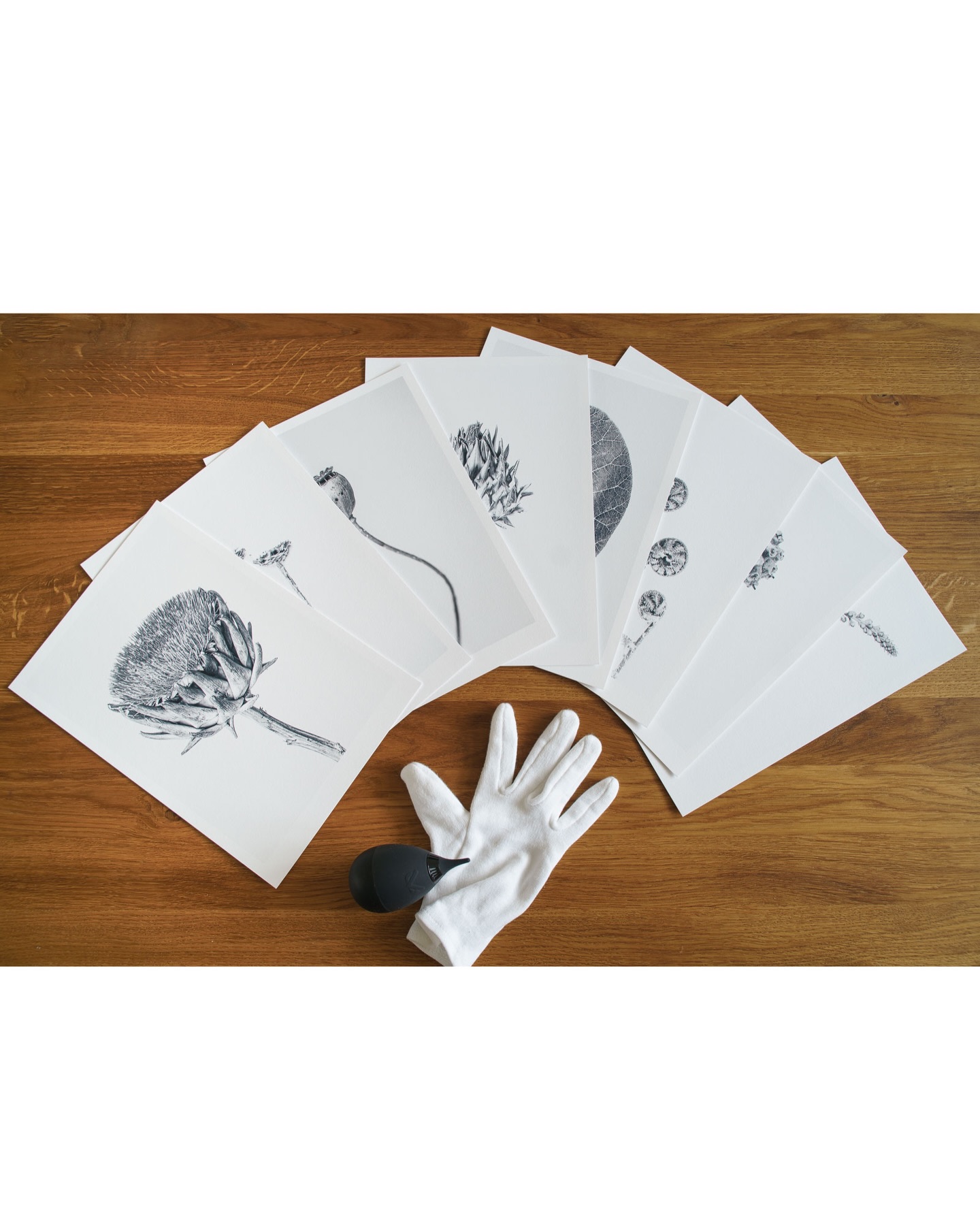 The last one.
The final Portfolio Box 2022 from my Botanical Studies has found its new home.
There is something deeply satisfying about this moment. Not because it is sold but because it is complete.
Each print was made by hand in my studio.
Printed on Hahnemühle PhotoRag.
Pigment ink. Signed. Numbered.
Carefully assembled in a box.
In a world where images disappear with a swipe, holding a finished print still feels special to me. The texture of the paper. The subtle tonal transitions. The quiet presence of black and white.
This edition is now closed.
Thankful to everyone who supported my work by welcoming these images into their homes.
The next chapter of Botanical Studies is already in progress.