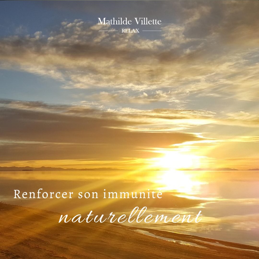 Pas besoin de surcharger son corps pour booster son immunité ✨
La naturopathie, le massage et la sophrologie offrent des solutions simples et efficaces :
🌿 Sommeil réparateur
🍋 Aliments riches en vitamine C
☀️ Lumière du matin
🍃 Plantes : thym, échinacée, gingembre
🌬️ Respiration consciente pour réduire le stress
💆♀️ Massage & réflexologie pour relancer la vitalité
Des gestes tout doux, mais qui font une vraie différence.
#ImmunitéNaturelle #NaturopathieToulouse #ReflexologieToulouse #MassageToulouse #BienEtreHiver