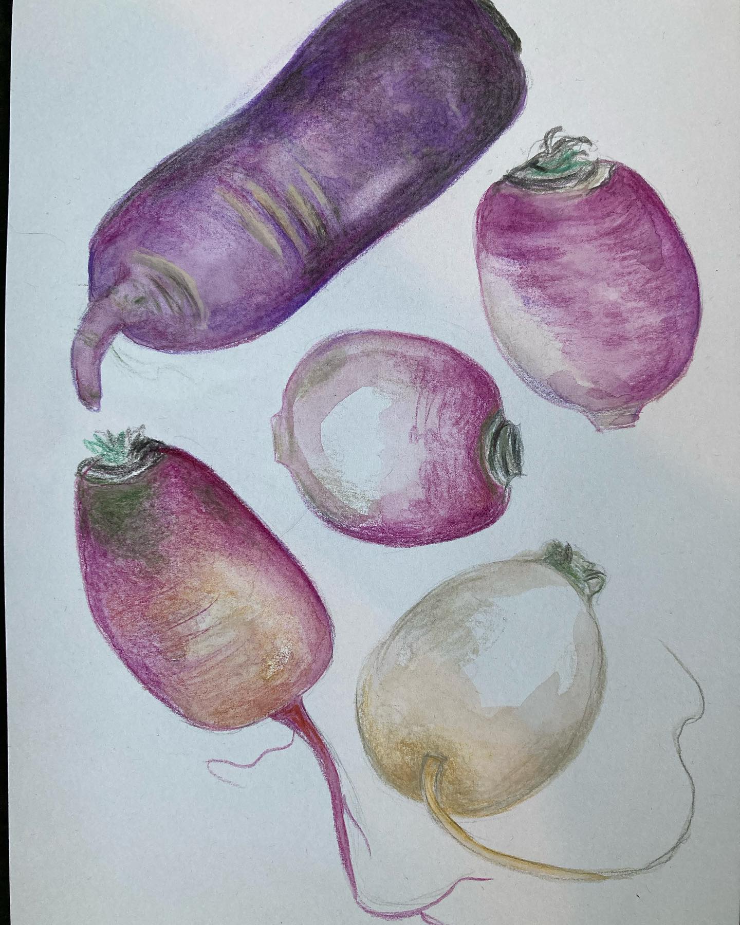 Le navet et le radis, selon la Diététique Chinoise!
Un dessin perso, ma recette préférée!
Voici une jolie petite collection dessinée de navets et radis blancs, rouges, violets! J’aurais pu lui ajouter le radis noir et les radis roses. Celui le plus utilisé en Diététique Chinoise est le navet blanc long, appelé en chinois « Luo Bo », en japonais «Daïkon ».
Tous ont à peu près les mêmes propriétés thérapeutiques. Bien sûr, la couleur pourra jouer surtout s’il est violet, car plus riche en anti-oxydants, de type anthocyanes, mais tous sont excellents pour la santé!
On connaît ce fameux proverbe chinois qui dit: « Qui mange un navet, gagne une année! ».
Le navet est considéré comme le meilleur aliment pour traiter les mucosités. Mon mentor, Josette Chapellet, disait que ce serait l’équivalent du 40E Fenglong (pour ceux qui connaissent l’acupuncture, le grand point pour chasser les mucosités).
Le navet est de nature fraîche et saveur piquante (cru), de nature neutre et de saveur douce (cuit). Il a pour tropismes Rate/ Estomac/ Poumon/ Vessie.
Grâce à ses nombreux tropismes, il aura une action sur les 3 Foyers du corps, la respiration, la digestion et l’élimination par les urines. Il harmonise l’Estomac, dissipé la stagnation d’aliments, traite les reflux, ainsi que les calculs biliaires et urinaires.
Toutefois, son action la plus intéressante sera sur le Poumon, en traitant surtout la toux grasse et les mucosités.
Ma recette préférée qui me vient de @frgaudry : La poitrine de porc à la japonaise aux navets!
#navets #navet #radis #radisnoir #radis #radish #radicchio #alimentationéquilibrée #aliments #légumes #alimentssanté #medecinechinoise #shiatsumassage #shiatsutherapy #mtc #dietetiquechinoise #madreperlamtc
