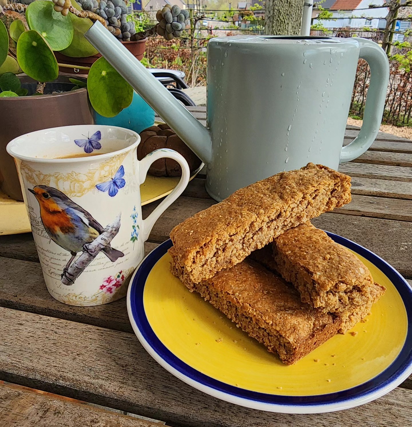 Tijd voor een welverdiende pauze na het voorjaarsklaarmaken van de tuin! 🌱☀️ Genieten van Zuid-Afrikaanse huisgemaakte karringmelk volgraan beskuit. Voor degenen die het niet weten: beskuit is een traditionele Zuid-Afrikaanse lekkernij, een knapperige en smaakvolle soort rusks die perfect samengaat met een kopje thee of koffie. Probeer het zelf en laat je verwennen! 🇿🇦💫 #PauzeMoment #VoorjaarTuinieren #ZuidAfrikaansGenot #BeskuitTraditie #KoffiePauze #TheeTijd #Zelfgemaakt #RusksLiefhebbers