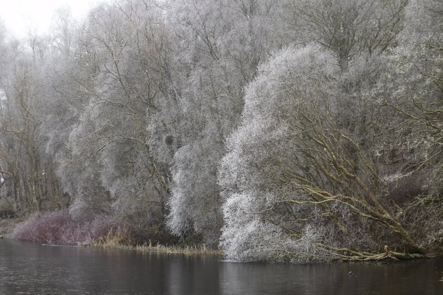 F R O S T
The frost finally turned up this winter. Cold, frosty mornings are probably my favourite, but they seem to be few and far between these days.
.
.
.
#travelphotography #travelblogger #Scotland #scozia #winter