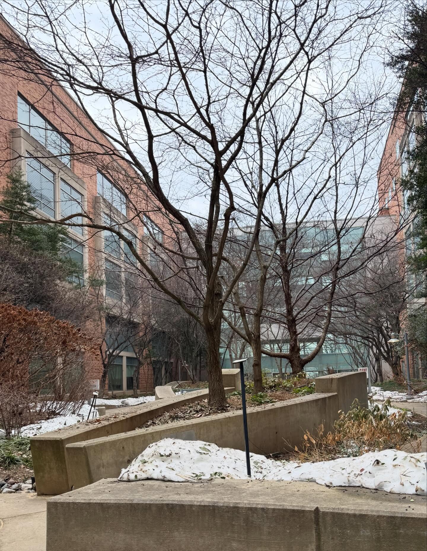 One of my favorite places to just be ❤️
As I sit in the middle of tests, intercession, and the final chapters of Maddie’s story, I be still and know that He is God.
I don’t know what tomorrow will bring, but I know the One who does.
What does this scene speak to you? Share one word in the comments.
#bestillandknowthatheisgod #myheart #thankYouJesus