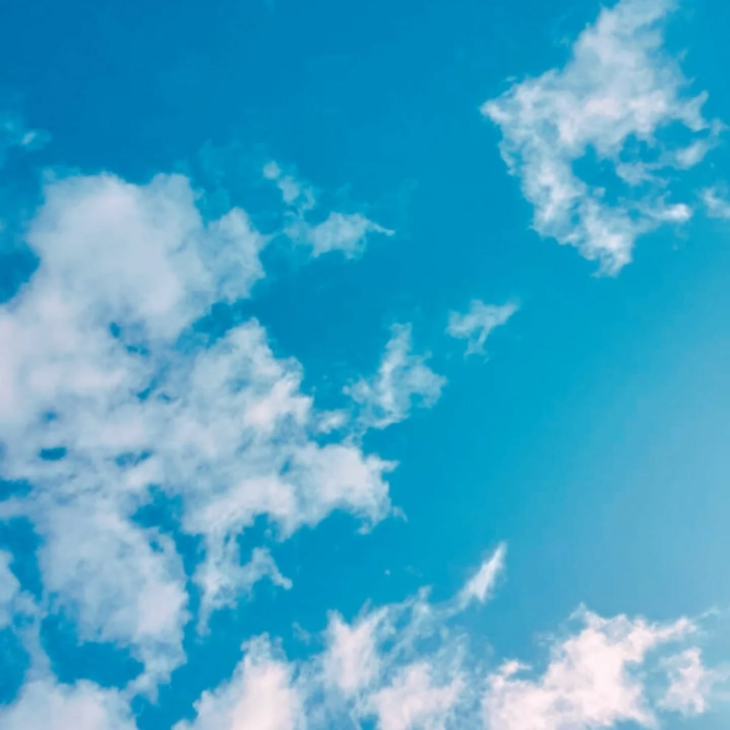 LE MOIS LE PLUS COURT ! 🌧☔
1. Le début de la fin de l'hiver, vu du ciel depuis la place de Bretagne 🌤 (si si ce ciel est un vrai ciel nantais)
2. 3. 4. 5. Alors le mois de février, on ne le voit pas défiler et pourtant on l'a senti passer !
Niveau traiteur c'était la fête ! Aussi bien chez les pros que chez les particuliers 🥳
Près de 200 convives régalés....on a envoyé, notamment près de 500 gougères 🤣
On vous partage quelques images de cocktails ; avec notre service sur plateaux, vous n'avez qu'à poser et c'est prêt !
6. Ma tête quand on s'est fait cambriolé et qu'on m'a volé mon PC 😡
7. La tête de Richard quand il part en vacances 😎
On prend une petite pause pour digérer tout ça et on revient frais et dispo lundi 2 mars à 12h ! 💓
Bonne fin de mois à vous tous !
.
.
.
.
.
.
.
#traiteurnantes #nantescentre #commerçantsautrement #tourdebretagne #faitmaison