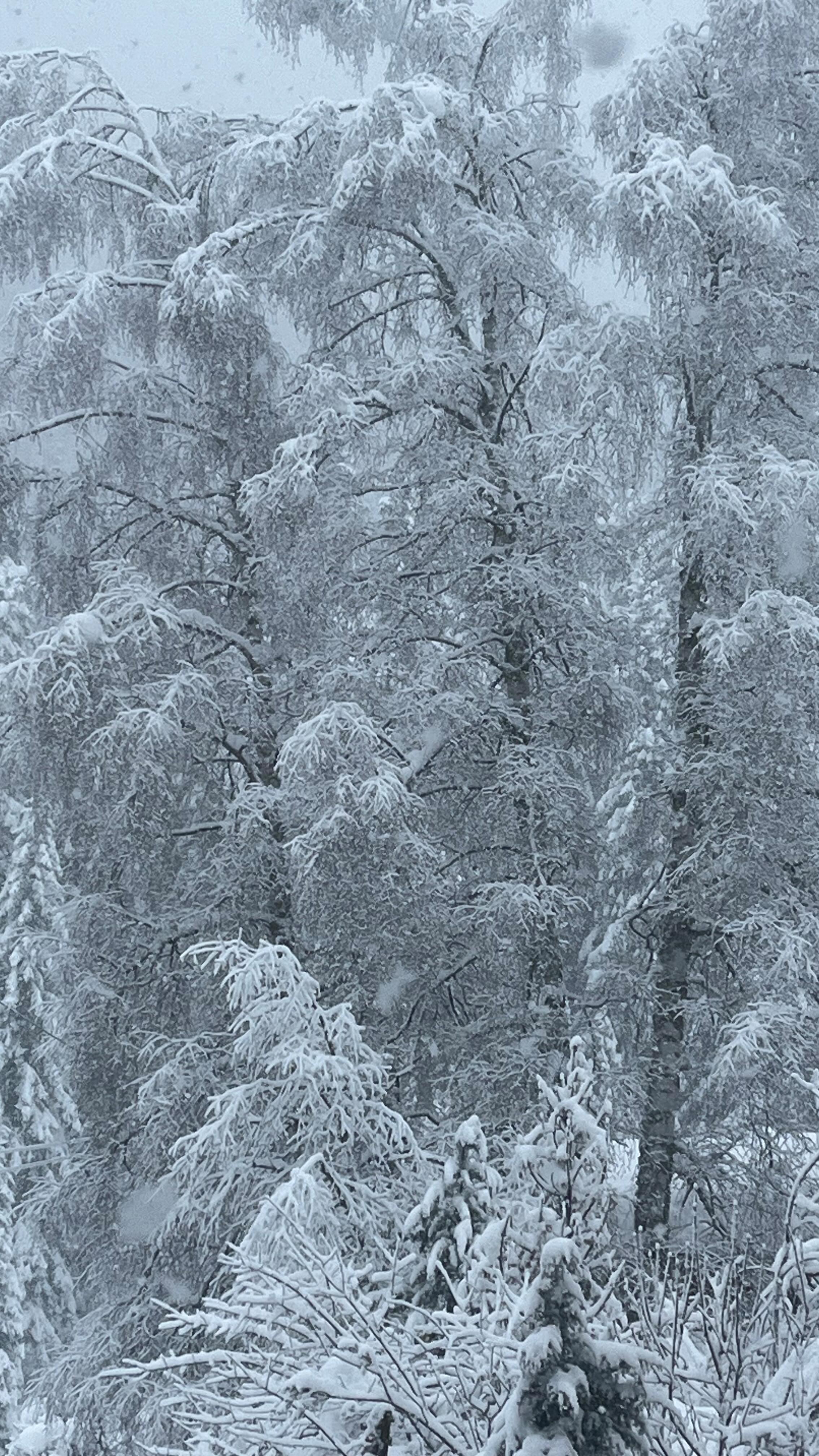 Un petit break s’imposait pour se reposer et se ressourcer et reprendre le travail dans les meilleurs conditions.#tapissierdecorateur #neige #pralognanlavanoise #savoie