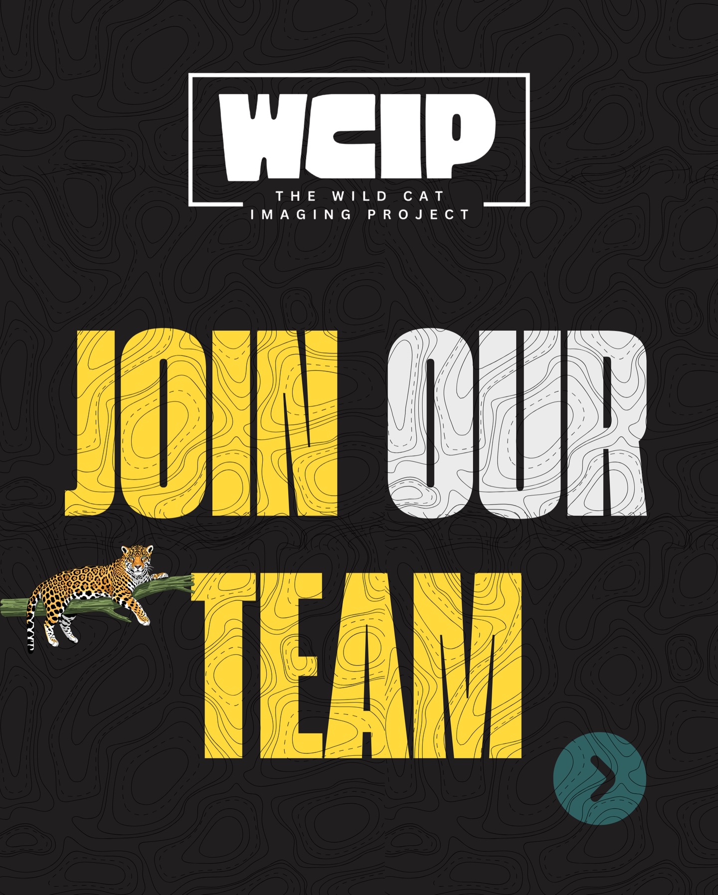 🌎 Calling all wild cat camera trappers.
If you’re already working in the field documenting wild felids, we want to connect.
The Wild Cat Imaging Project is building a global network of camera trappers actively monitoring wild cats and sharing their results with us. Together, we amplify your fieldwork — showcasing species, ecosystems, and real conservation stories from the ground.
Your work stays yours. We simply help expand its reach and impact.
If you’re currently trapping wild cats and want to be part of a global awareness network, send us a message or email us to join the team.
Let’s raise the profile of wild cats worldwide🐆
#wildcats #cameratrap #research