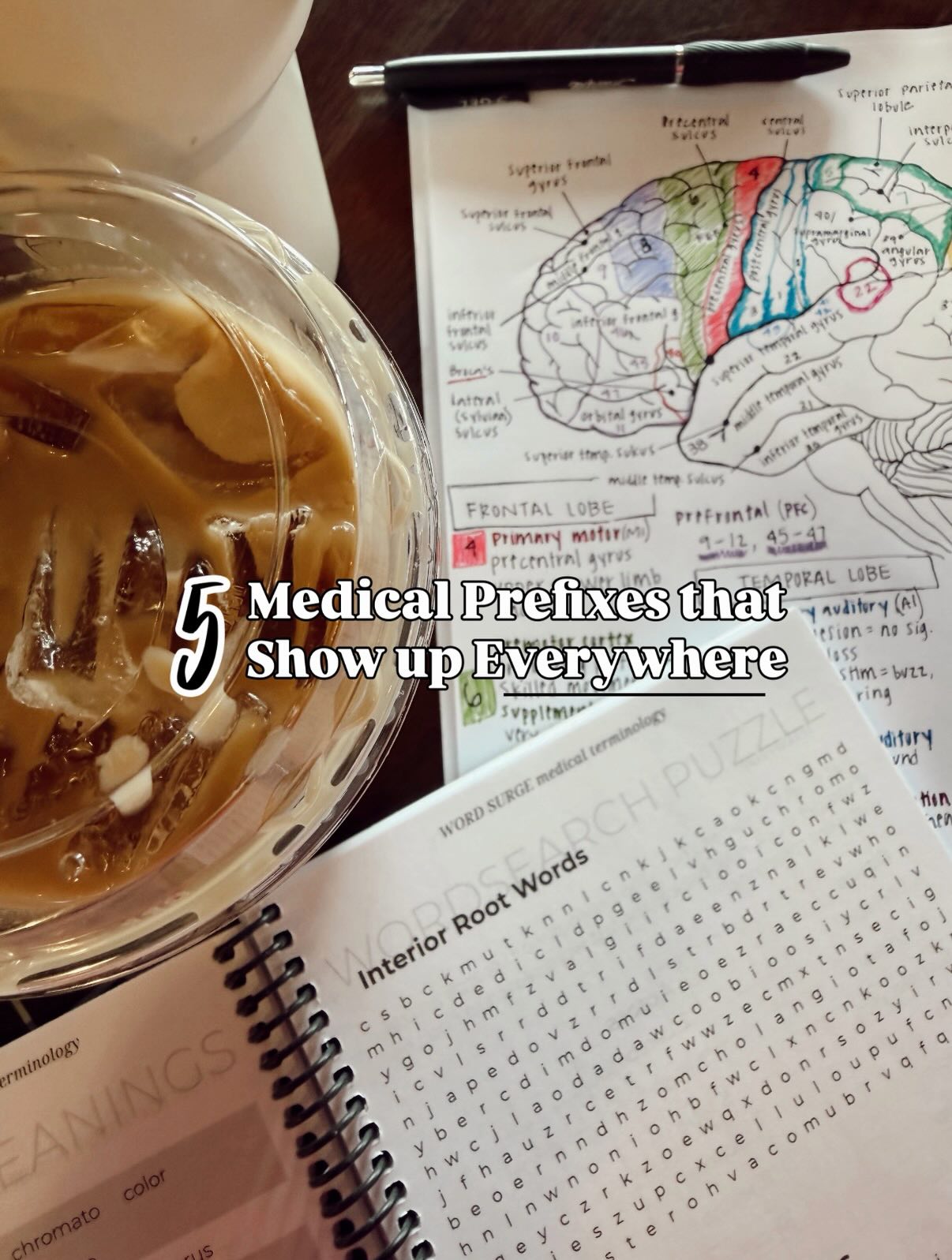 Learn the roots.
Stop memorizing blindly.
Study smarter, not harder.
#medicalstudent #premedlife #studygram #medterms