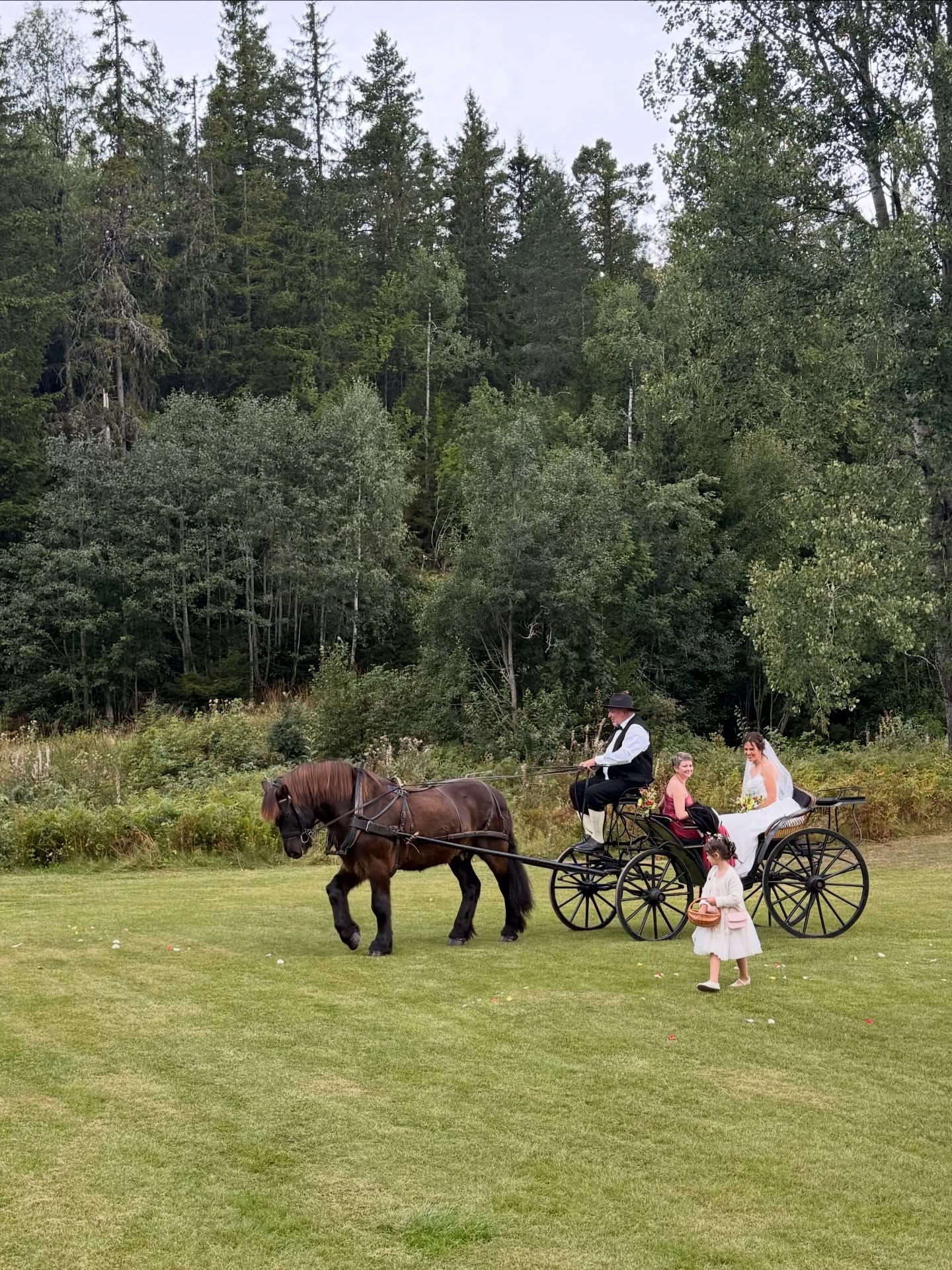 Gjør den store dagen uforglemmelig. Velg Kleivstua der minner skapes 🤍🤍
#kleivstua #kleivstuahotell #brylluppåkleivstua