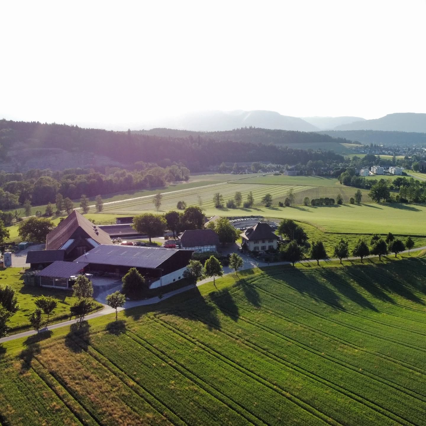 Der Gnuss-Egge ist der Hofladen des Sonnhaldenhofs in St. Urban. Neben dem Obstbau zählen auch die Milchwirtschaft, die Schweinemast sowie der Futter- und Ackerbau zu unseren Betriebszweigen. Unser gesamter Betrieb wird nach biologischen Richtlinien bewirtschaftet.
#sankturban #ausflugszielefürfamilien #biosuisse #bauernhof #hofladen