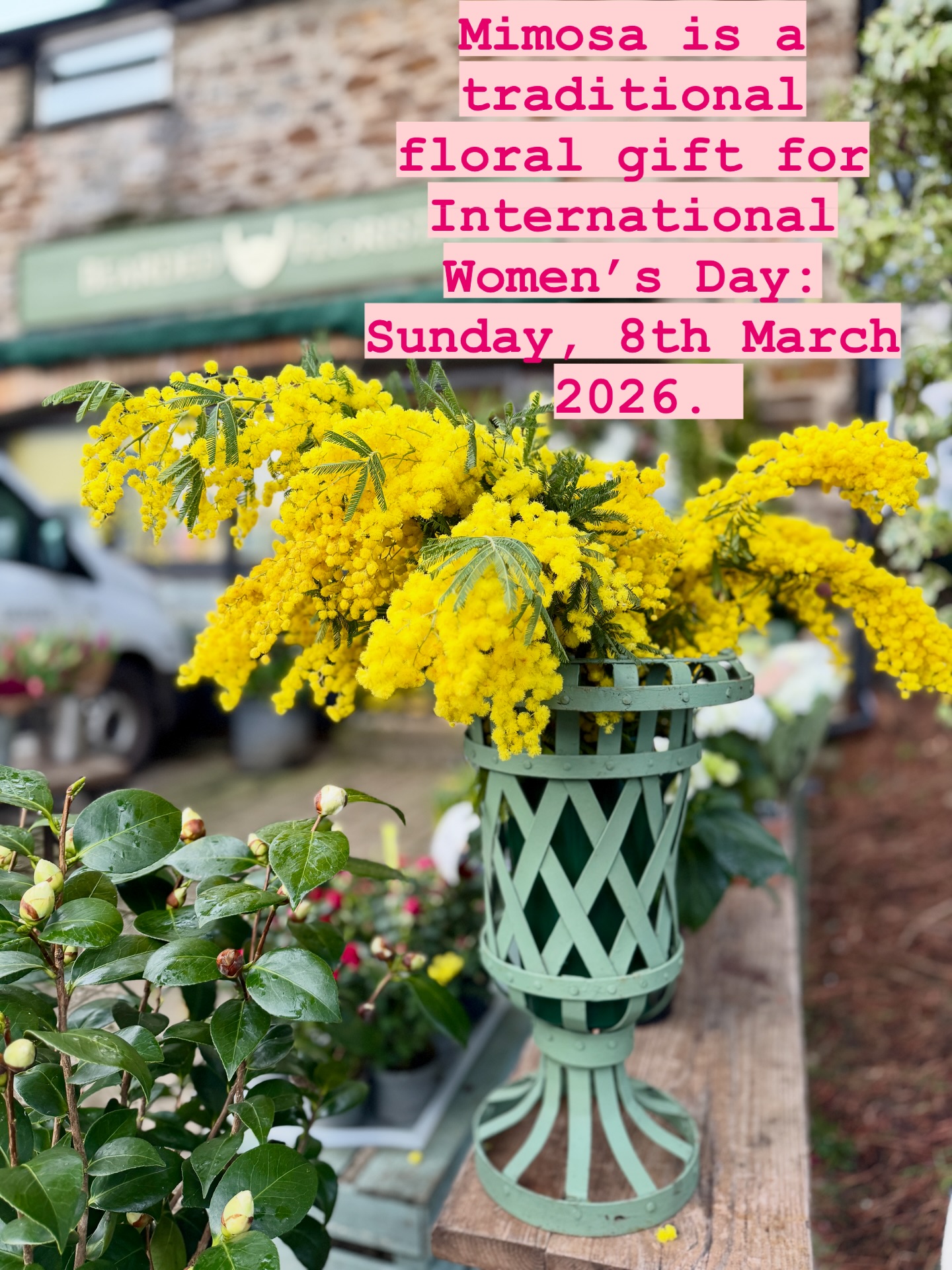 We love this vibrant and delicious scented flower thatâs readily available at this time of year. Traditionally itâs gifted to women on 8th March for International Womenâs Day. Hopefully, stock is still available. #totnesflorist #mimosa