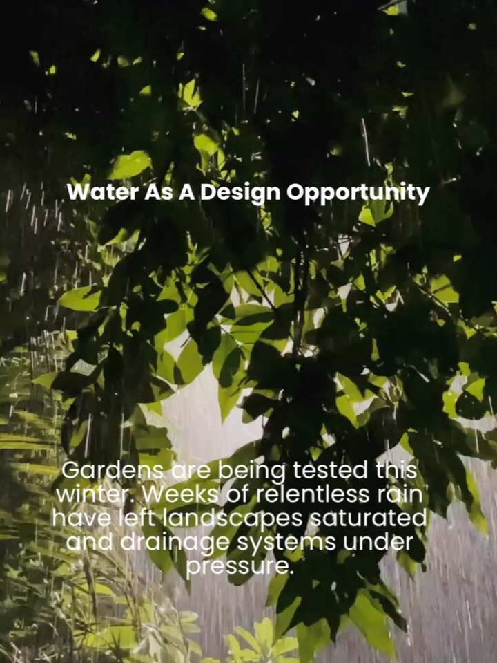 This winter has tested gardens like never before - relentless rain, saturated lawns, and waterlogged borders.
But water doesn’t have to be a problem. Thoughtful design can turn rainfall into a source of resilience, biodiversity, and beauty. By shaping levels, choosing plants that thrive in wet and dry conditions, and letting water move naturally, gardens can flourish no matter the weather.
Discover practical strategies and reflections from our studio on how to work with water, not against it.
Read the full piece via the link in bio.
⸻
ABOUT: Joe Perkins Design is a multi-award-winning landscape design consultancy, creating innovative outdoor spaces that celebrate the environment, wildlife, and biodiversity. Working across the UK and internationally, we partner with clients who share our passion for sustainable and visionary design. Discover more about our work at: www.joeperkinsdesign.com
