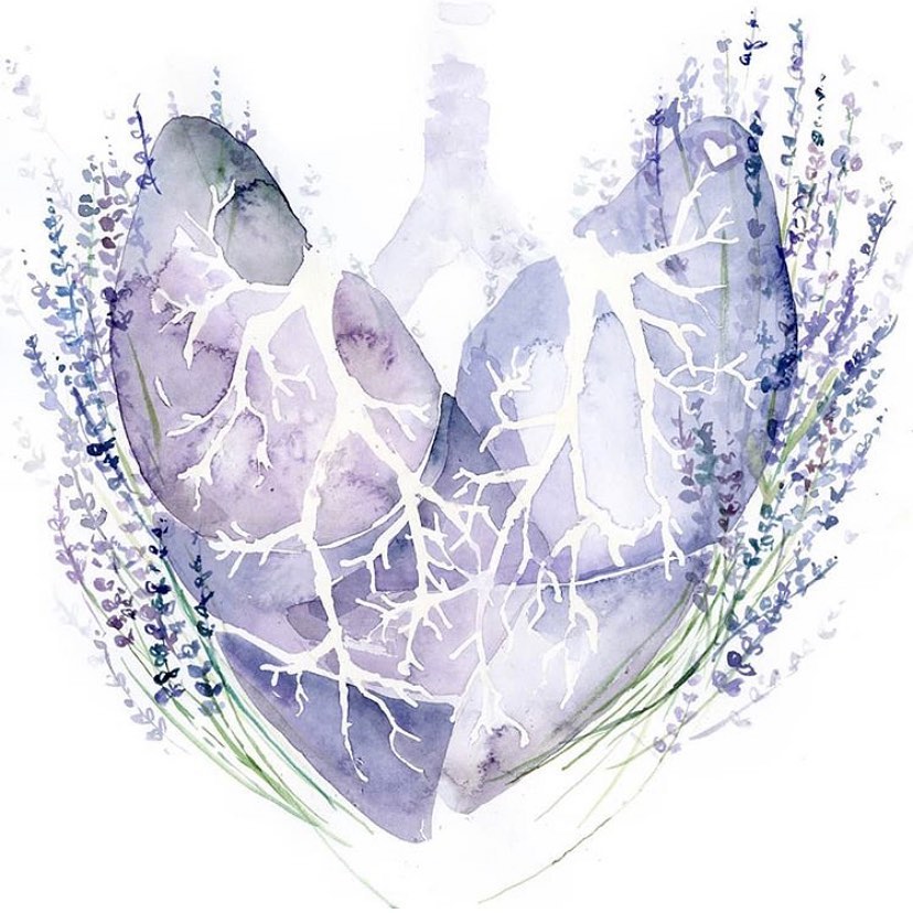 LOVE YOUR LUNGS //
#intheclinic we have seen more patients popping in with conditions related to the respiratory system
As the weather starts to cool conditions like asthma, colds and flu, coughs and sinus issues get aggravated by the cold 🥶
Make sure your rug up when you go out and at home. Do also remember that we have acupuncture point and herbal medicine that can help you breathe easily, stop coughing and feel more energised ✨ 🎨: @lyonroadart
#breathefreely #breatheeasy #stopcoughing