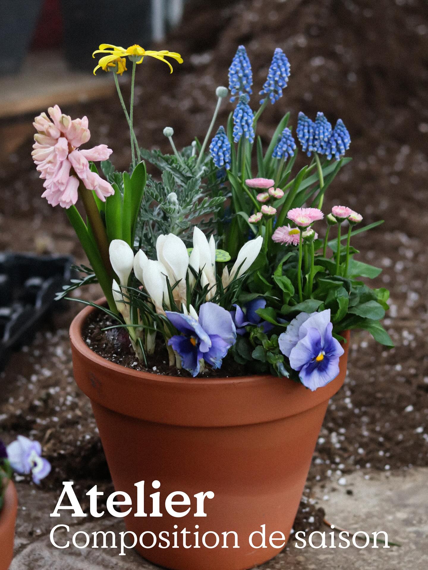 ATELIER - Composition de saison 🪴
Quelques images de vos réalisations, trop belles 🥹🌸
___
Atelier ouvert à tous, à partir de 5 ans.
• 25€ enfant - 35€ adulte (petite taille de composition)
• 50€ enfant - 60€ adulte (grande taille de composition)
Réservation en ligne sur notre site internet (lien en bio)
🪴 Le jardin de tous
☎️ 05 59 03 73 52
📍15 rue de Louillot, Anglet