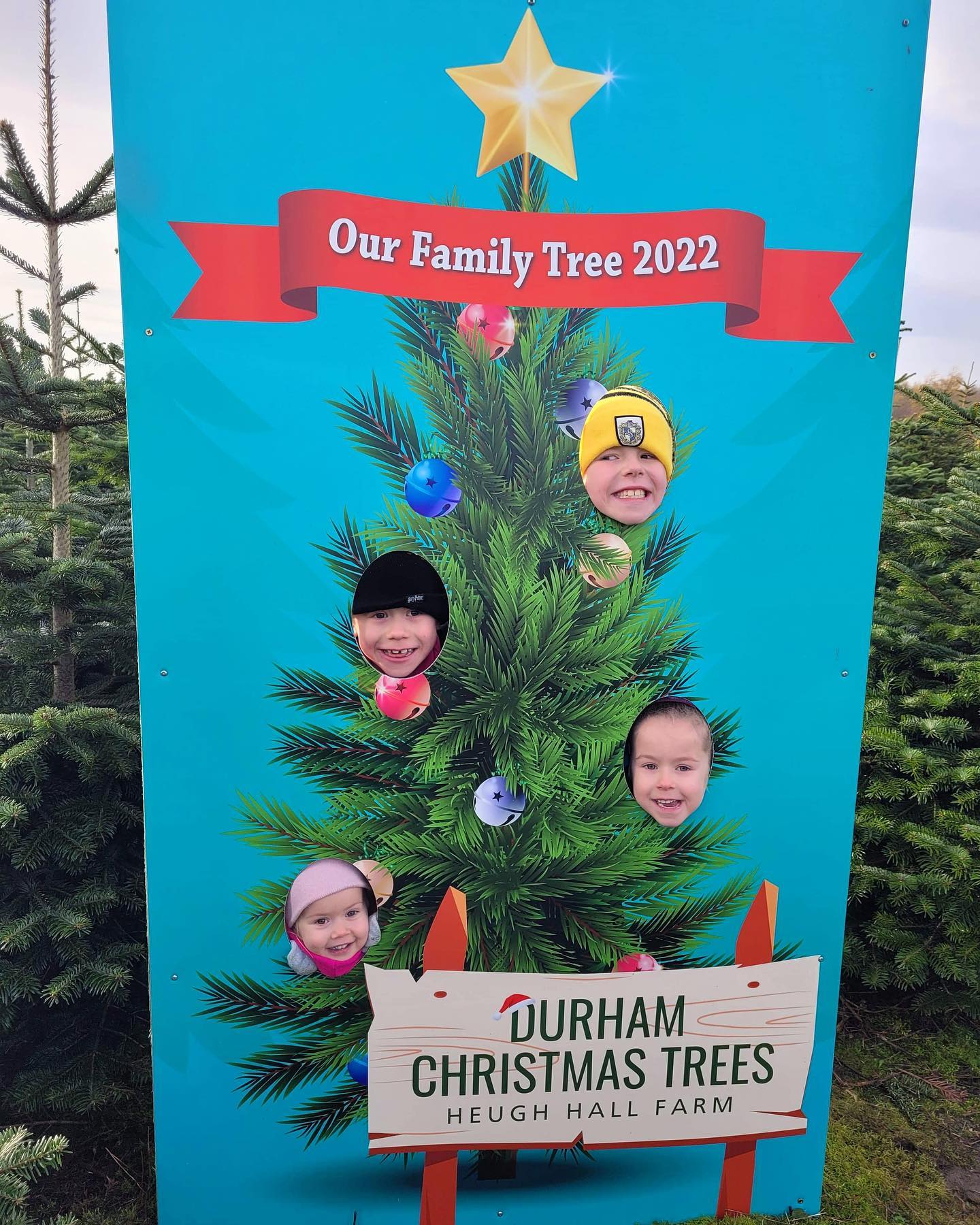 A massive thank you to everyone who visited us at the weekend, it was great to see so many returning and happy customers! 😊🎄
We’re open again 10.30am - 3.30pm on:
🎄 Friday 2nd December
🎄 Saturday 3rd December
🎄 Sunday 4th December
🎄 Saturday 10th December
🎄 Sunday 11th December
🎄 Norway Spruce & Nordmann Fir available in our pick your own plantation
🎪 Our pre cut Nordmann Fir & pot grown range are displayed under shelter this year, located next to our plantation
☕️ Refreshments are available
🐶 Dogs welcome on a lead
🚗 Deliveries starting at £5
🌟 See our website for further details durhamchristmastrees.co.uk
📸 Thanks to Vicky Louise
#outdooractivities #locallysourced #freshlycut #pickyourown #PYO #durham #christmastrees #northeast #durhamchristmastrees #heughhallfarm #smallbusiness #christmasiscoming #nordmann #fir #norway #spruce