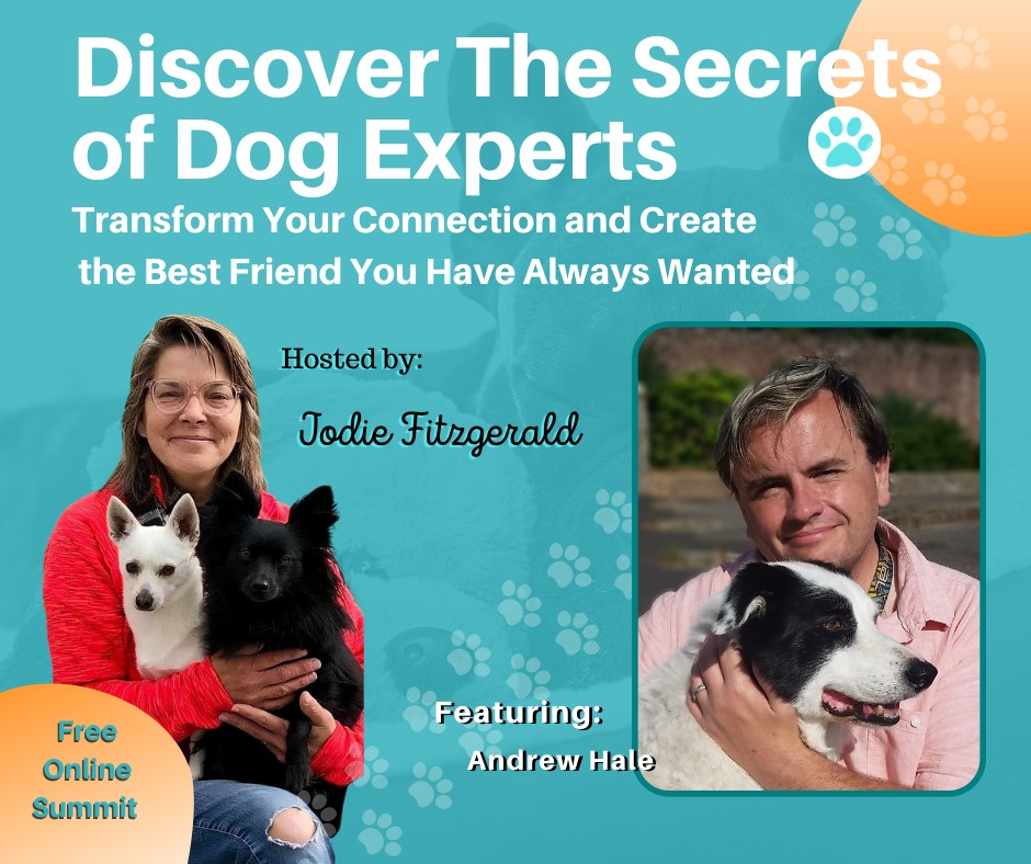 Interviewing Andrew Hale is so amazing and educational!
Here is a clip of his time with me.
Andrew is a voice for the emotional experience of dogs.
I still feel so honoured that he took the time to have such a great conversation with me.
Please check it out here:
👇👇👇
https://youtube.com/clip/UgkxRF1YXtwvTTJgCFhK6GrcfINUBwOjlqk3
Watch the entire video, We are learning so much about dogs!
Please Like & Subscribe to my YouTube Channel while you are there.
#dogsbeingdogs #letdogsbedogs #fdm #familydogmediation #doglove #liveinthenow #connection #relationships #interpretations #respect #discoveryourdog #stepintoyourdogspaws #doglife #beyondtheoperant #nobaddogs #doglifestyle #sniffspot #unconditonallove #yourdogiswaiting #familytime #celebratelife #dogsofinstagram #remainteachable #connection #nevergiveup #rescues #buildconfidence #rescuedogsofinstagram #enrichment #confidence