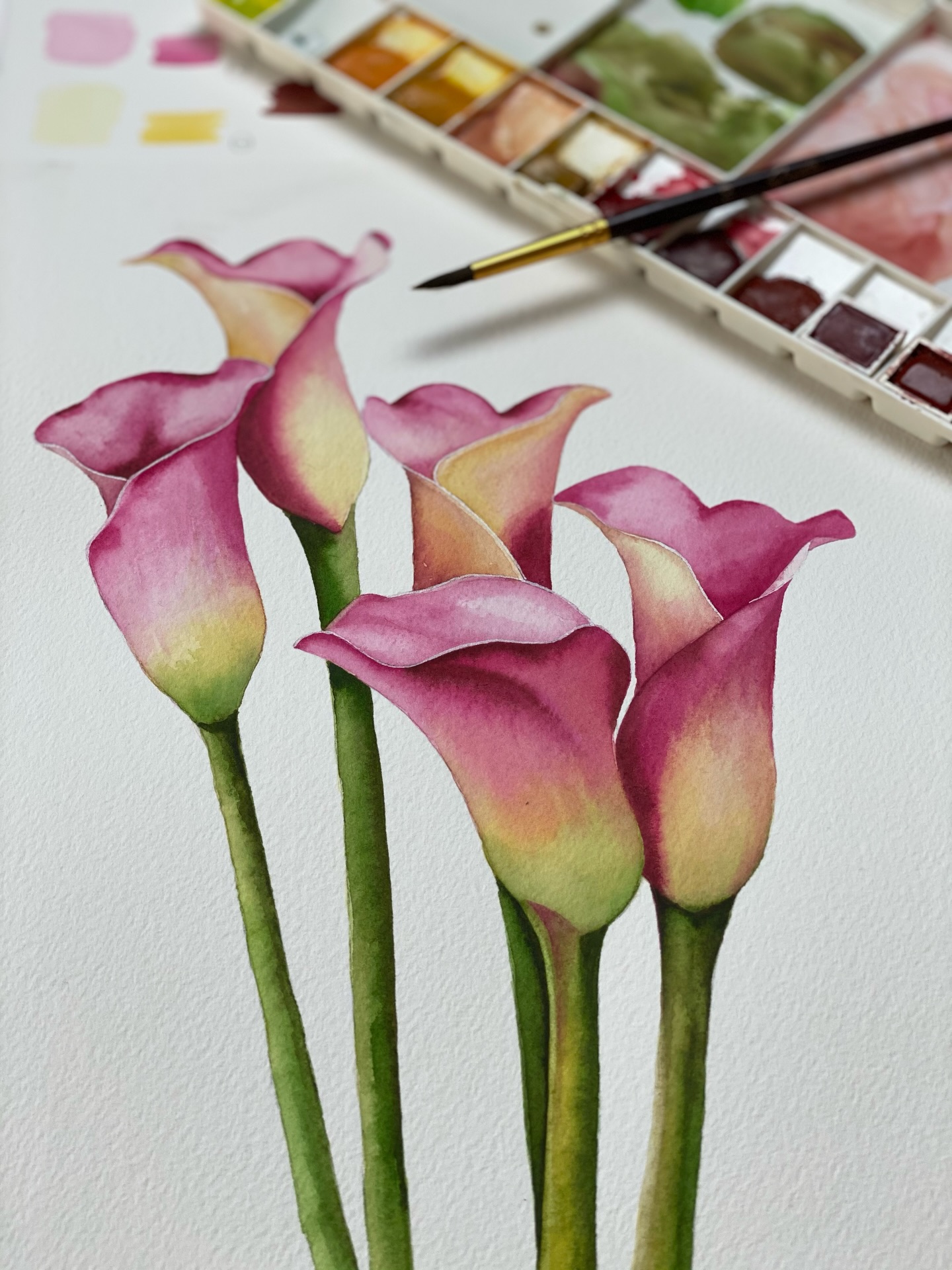 Πώς ζωγραφίζω τα λουλούδια;
Τα αφήνω να εμφανιστούν μόνα τους μέσα από το χαρτί, το νερό και τις διαδοχικές στρώσεις του χρώματος.
Τις ροζ Κάλλες τις είχα ζωγραφίσει πριν από λίγα χρόνια και παραμένουν ένα από τα αγαπημένα μου έργα (αν και όλα είναι αγαπημένα μου).
Το βίντεο με όλη τη διαδικασία υπάρχει στο κανάλι μου στο YouTube (@theartflip), όπου μοιράζομαι τη ζωγραφική μου όπως συμβαίνει στην πραγματικότητα.
🎪 Μάριον Κουμπούρη - The Art Flip Studio
🎨 Painting classes at my studio
📍 Κ.Σερβίας 12-14, Σύνταγμα
🌐 theartflip.com
.
.
.
.
#theartflip #watercolor #artclass #paintingonpaper