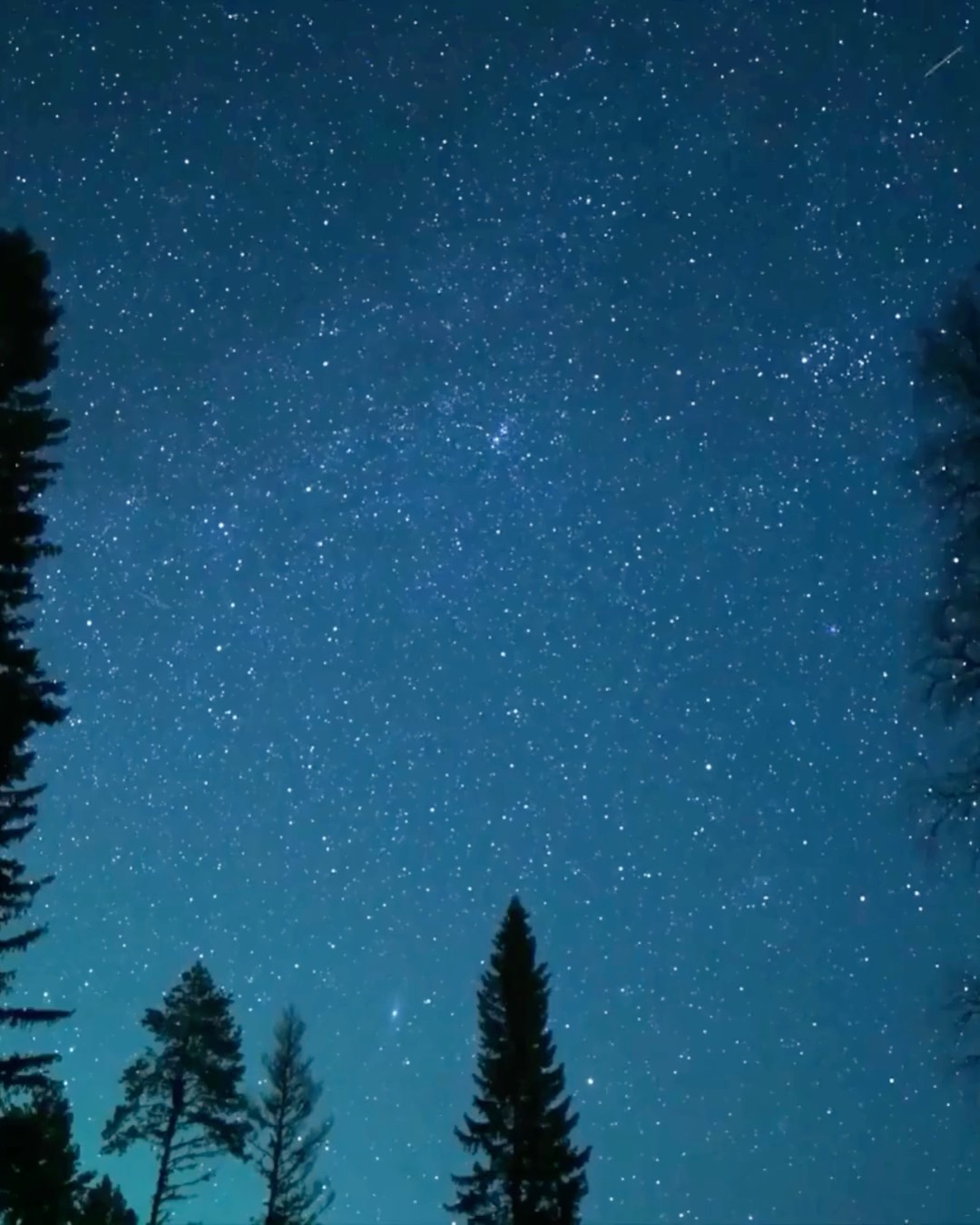 Story Tribe gathers again on March 5th.
A circle for people who love stories —
telling them, listening to them,
and exploring the deeper meaning they carry.
Last month we began something beautiful:
a space shaped by courage, curiosity, and generous listening.
Professionals and first-time storytellers sitting side by side.
Not striving for perfection —
but growing braver together.
If you’ve been feeling the pull of stories,
that’s your invitation.
Our next gathering takes place March 5th.
Come listen.
Come share.
Come be part of the Tribe.
Register via the link in bio.