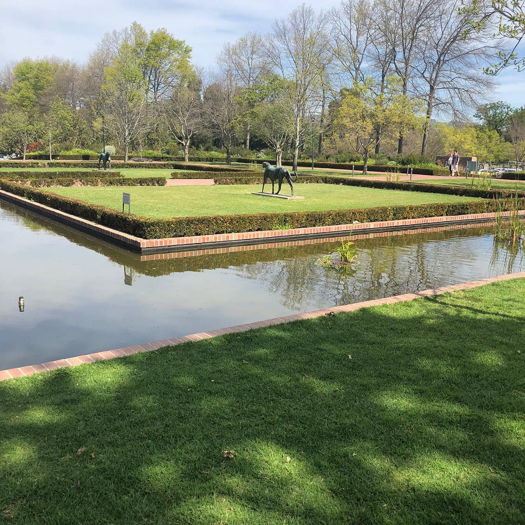 #lourensford #leopardstatue #stunning
