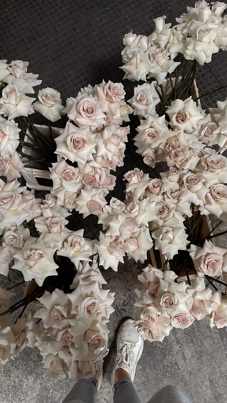 „Zeit für den nächsten Step“🌿
„Du willst nicht nur arbeiten, sondern etwas bewegen? Werde Teil unseres blühenden Abenteuers und bring deine Leidenschaft für Blumen mit!“
WIR freuen uns ganz doll auf Dich 🌿
Schreib uns einfach gerne hier ein Nachricht, oder schreib uns eine Mail an jung@blume-exclusiv.de
#florist #blumen #stellenangebot #wirsuchendich #wirsuchenverstärkung