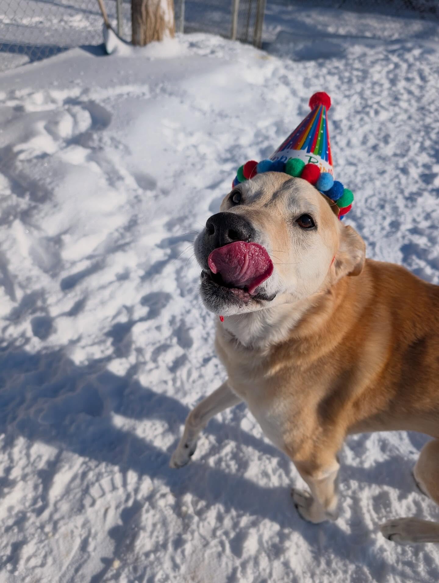 Happy 13th Birthday, Leia! 🎉