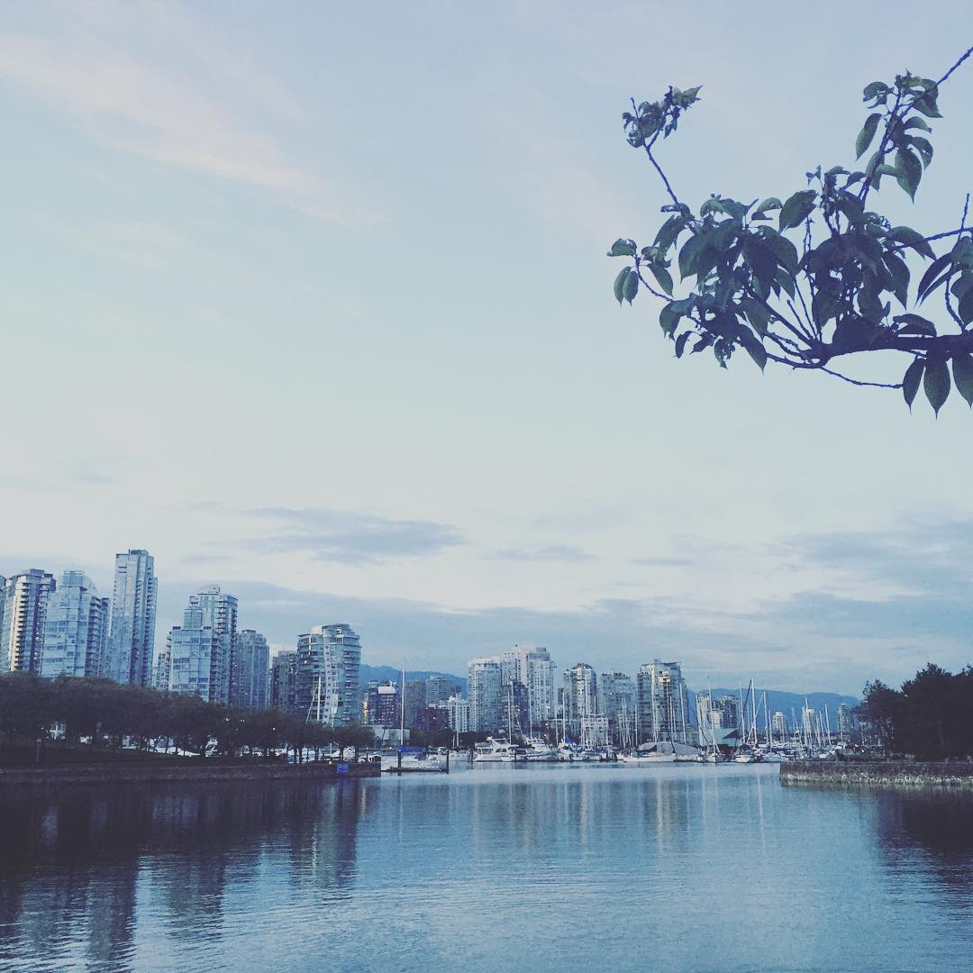 did you know that VANCOUVER has the world's longest uninterrupted waterfront path - 28 kms! #vancouver #seawall #falsecreek #waterfront #vancity #bike #run #walk #vancouverparks #stanleypark #yaletown #olympicvillage #coalharbour #englishbay #kitsilano #jerichobeach #pointgrey #vancouverbc #downtownvancouver #vancouverisawesome #vancouvercityscape
