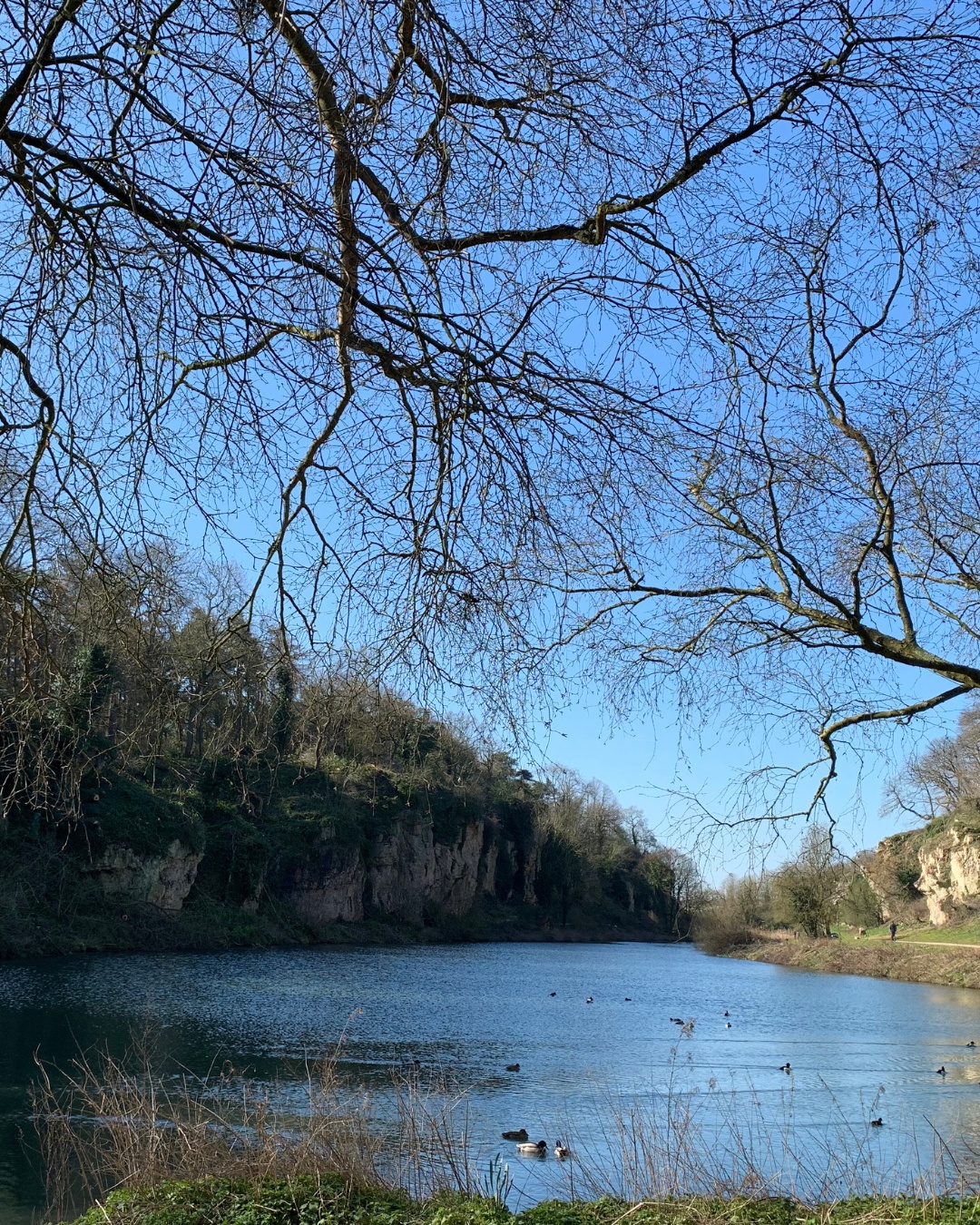 Signs of Spring in Bolsover 🌸
Spring is on its way, and Bolsover is waking up with colour and life! From budding trees to blooming flowers, our district is full of nature’s little surprises.
Captured beautifully by our community in Bolsover Through the Lens, in collaboration with the Bolsover Camera Club, these images remind us why there’s no better place to explore this season.
📸 Which spring moment makes you want to get outside and wander?
#bolsover #cameraclub #spring