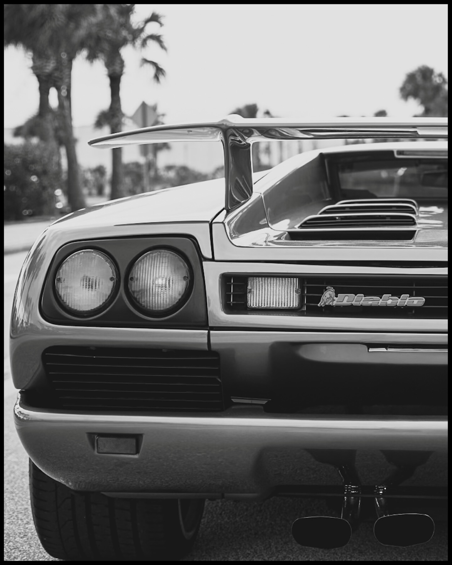 V12 Lamborghini Diablo #492
Top speed of 202 mph
0-60 in 4.5 sec
PPG Cream Cycle Orange 🍊
Model: @jackieshayphotography
Car: @lambo_diablo_amateur_rebuild