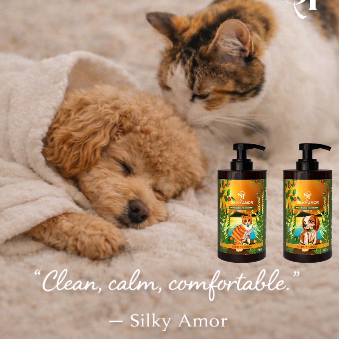 Bath time is done…
now comes the best part 🐾💛
The quiet nap.
The soft fur.
The calm breathing beside you.
At Silky Amor, care doesn’t end when the wash is over — it stays in the comfort they feel after 🌿
Because clean should also mean relaxed.
#SilkyAmor #AfterBath #HappyPets #GentleCare #PetWellness #CalmPets #PetComfort #LoveInEveryWash#SilkyAmorPets#Abudhabipets
