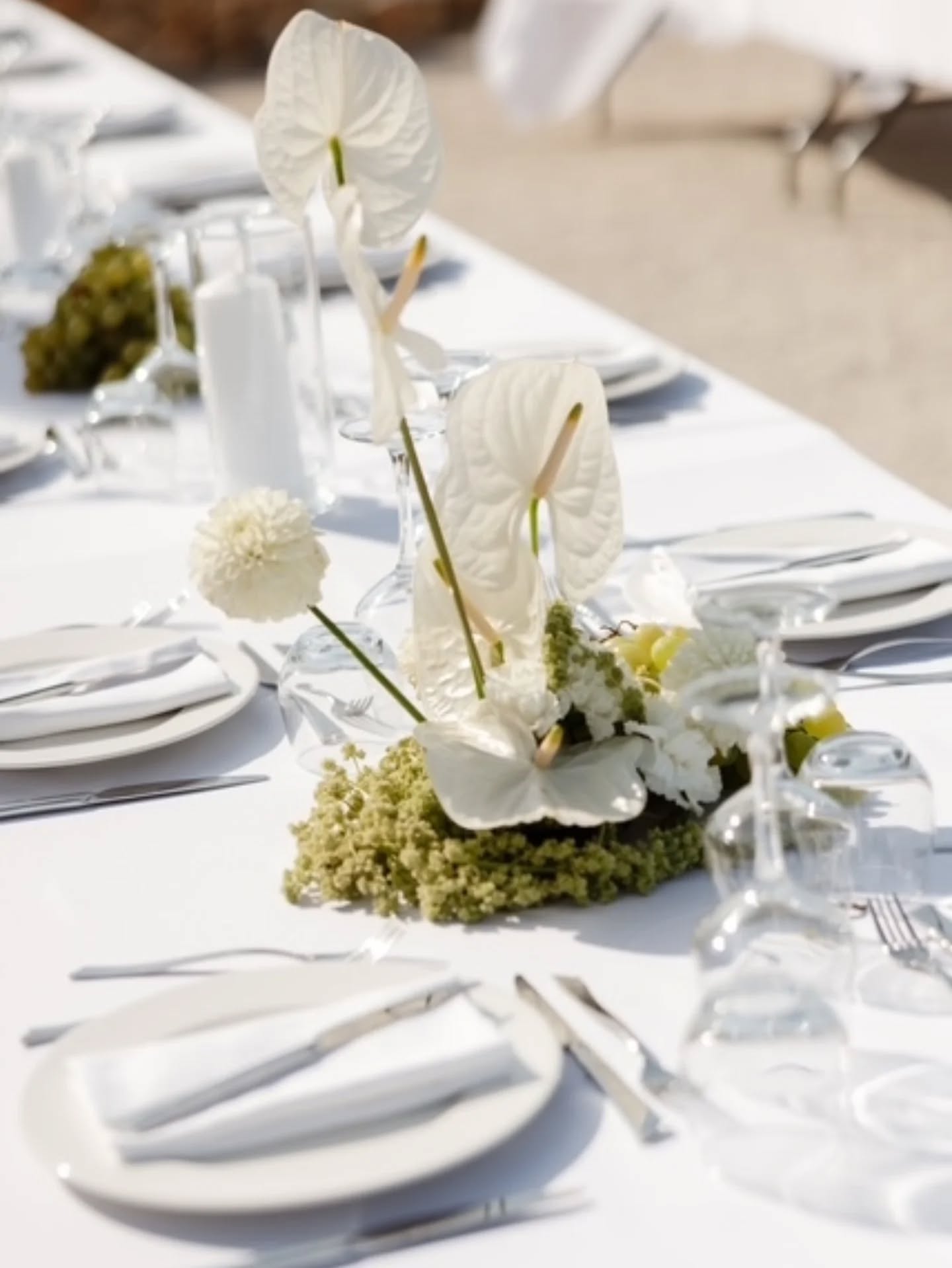🌿 A & K 🌿
05.07.2025
@lagrangedejavon
@jadedstories.jpg
@marifinbridal
@jonasjaekenmedia
@melaine.bois.fleuri
#mariageenprovence #weddingprovence #weddingsouthoffrance #weddingtable #weddingflowers
