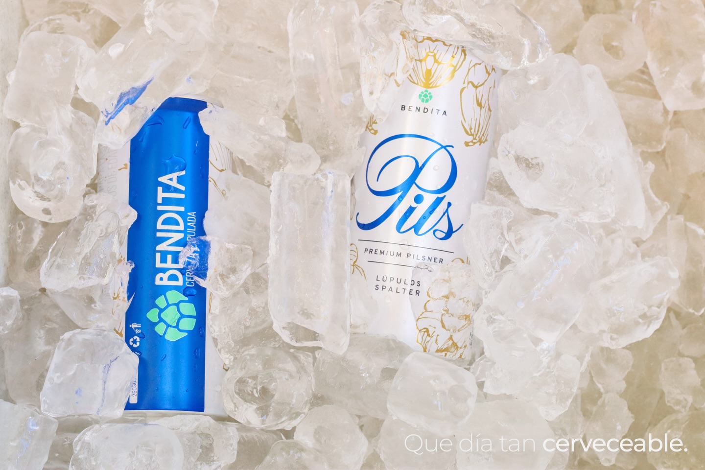 Este día pedí una cerveza bieeeen fría