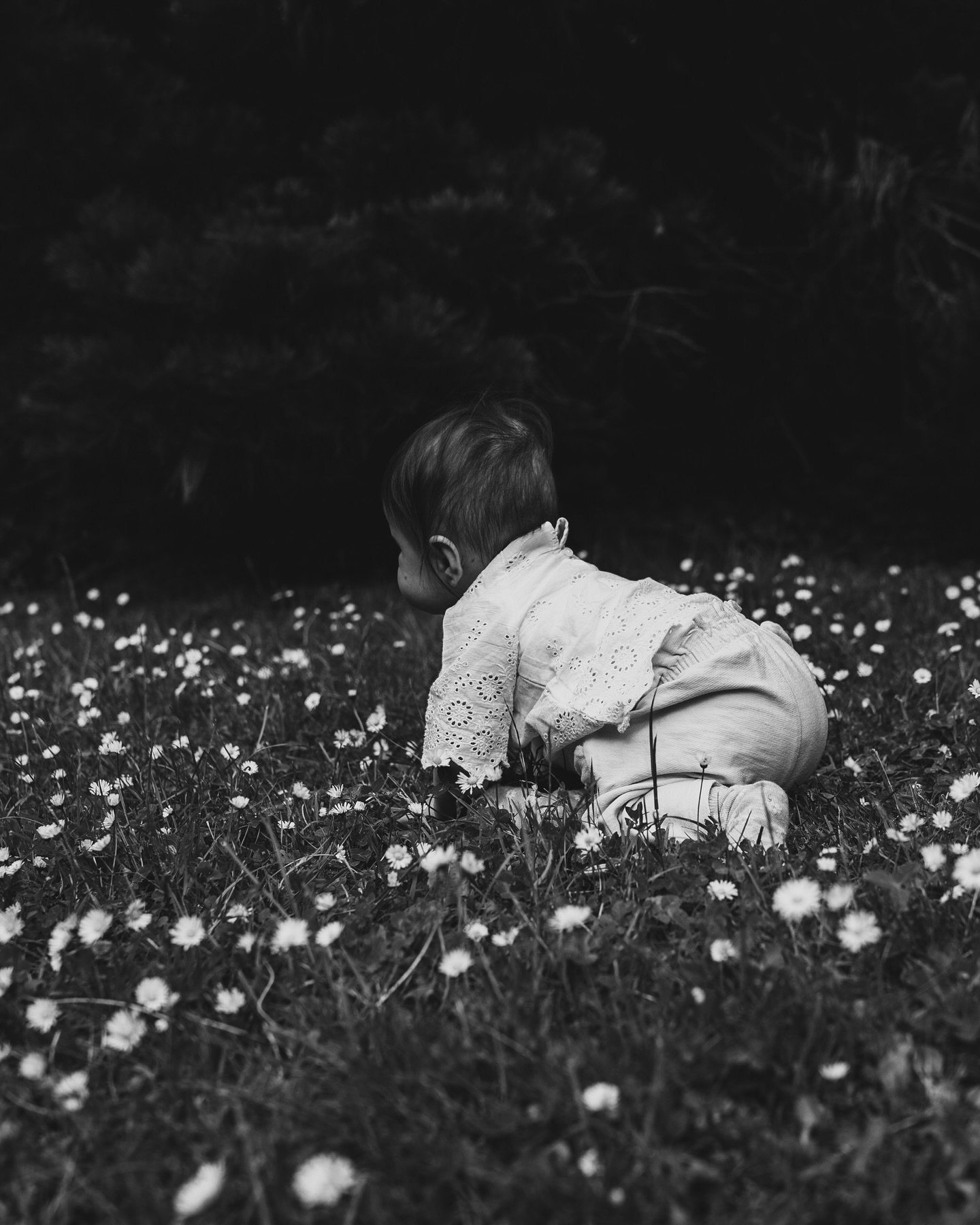 Photographies d’une séance famille avec bébé.. qui a fini par gambader dans les pâquerettes !
Informations à propos des séances : romanediez.com ou MP 💌
#photographefamille #blackandwhitephotography #loveinparis #photographematernité #photographeparis