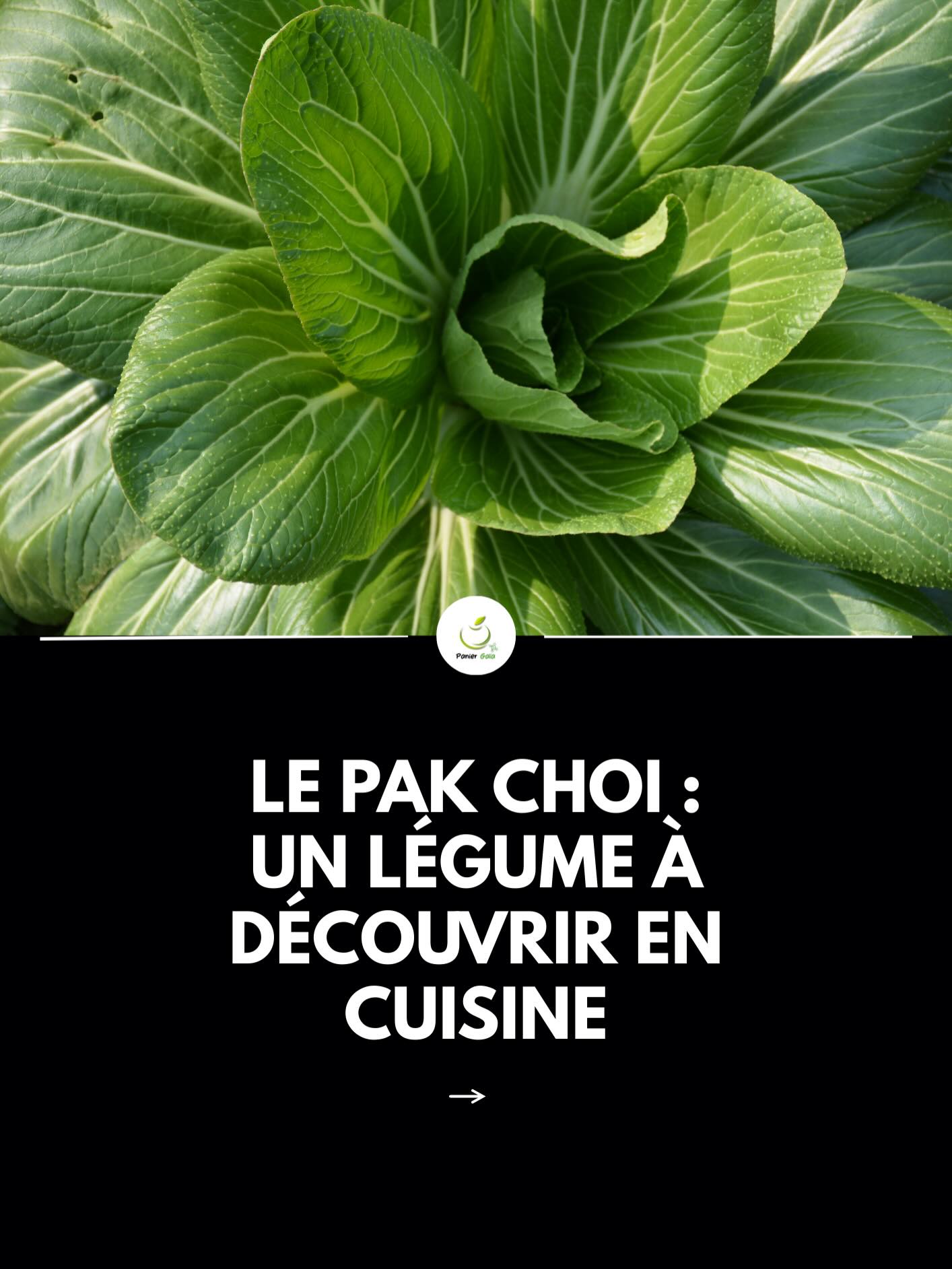 Le pak choi est un chou asiatique encore peu connu, mais très facile à adopter.
Visuellement, il rappelle la blette, avec ses tiges claires et ses feuilles vertes.
En bouche, son goût est doux et légèrement végétal.
Sa texture est croquante au niveau des tiges, tandis que les feuilles deviennent fondantes à la cuisson.
Le pak choi se consomme aussi bien cru en salade que cuit : sauté à la poêle, à la vapeur ou dans un wok.
Rapide à préparer et polyvalent, il permet de varier des légumes du quotidien. #pakchoi #legumes #decouverte