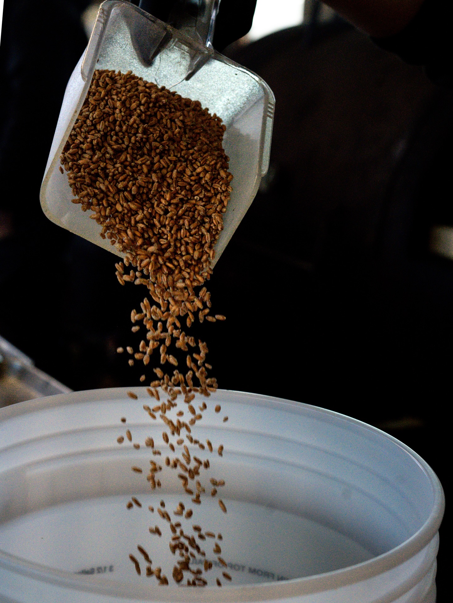 We’ve been working hard on a project with our friends at @hindsightbbq this week - between smoking malt, coolship fermenting, and chowing down on some incredible food at Hindsight BBQ, we’ve been busy! We are so excited to share this unique beer with you in a few weeks, stay tuned for the release! 🍒💨