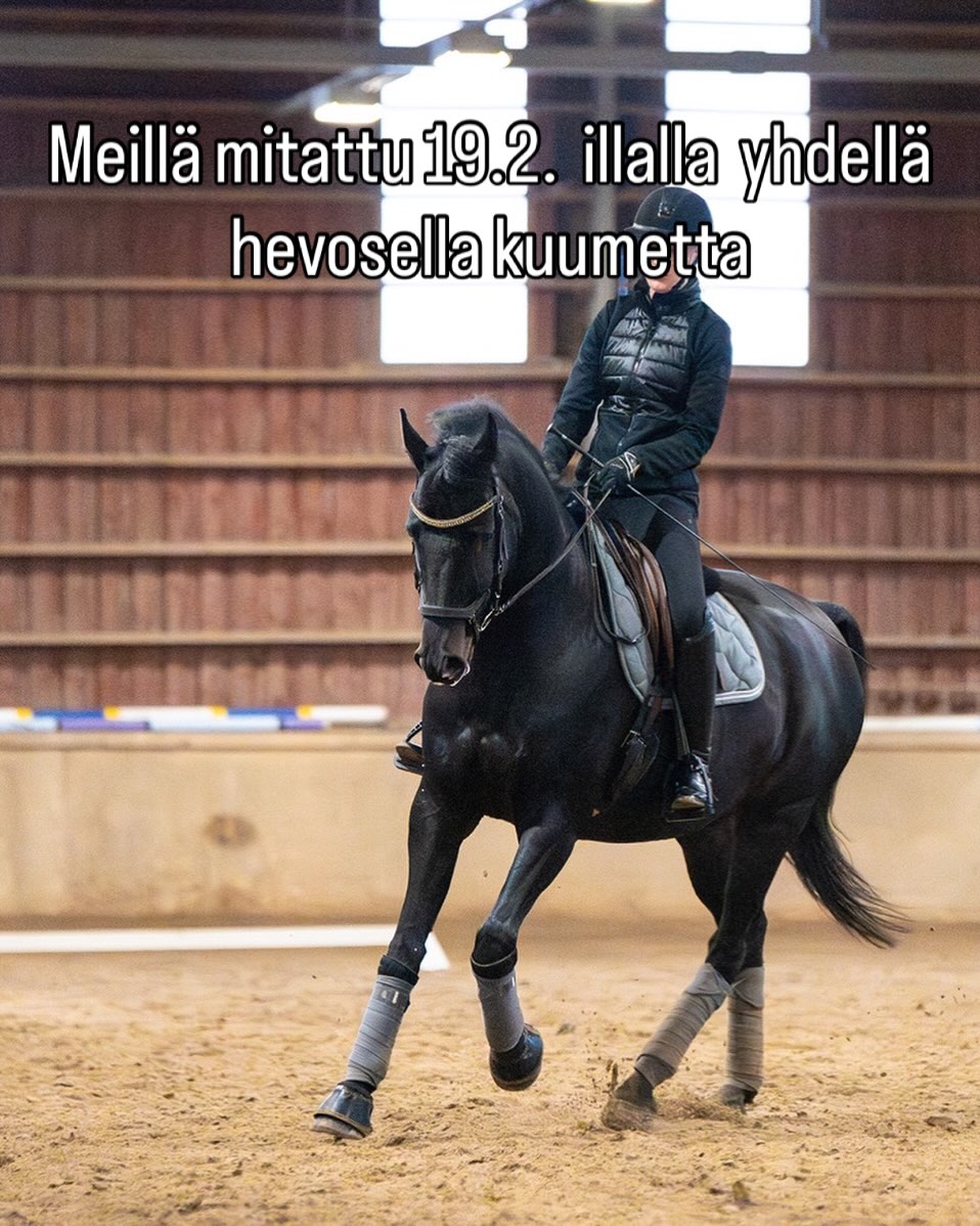 EDIT: Neljällä hevosella kuumetta ❗️
EDIT: Kahdella hevosella kuumetta ❗️
Meillä on mitattu jo muutaman päivän ajan hevosten lämmöt päivittäin.
Papulla mitattiin äsken 39 asteen kuume. Viikkiin on oltu yhteydessä ja saatu sieltä ohjeet jatkoon. Muilla hevosilla ei ole toistaiseksi ollut mitään oireita.
Papu on pirteä ja syö ja juo normaalisti.
Papu ei ole ollut Ypäjällä eikä Tuomarinkylässä eikä meille ole muuttanut uusia hevosia.
Meillä alkaa nyt omaehtoinen karanteeni ja vain hevosten omat ihmiset ovat tervetulleita tallille.
Nyt vaan peukut pystyyn, että tämä ei olisi EHV:tä ja että kukaan muu ei sairastuisi 😰