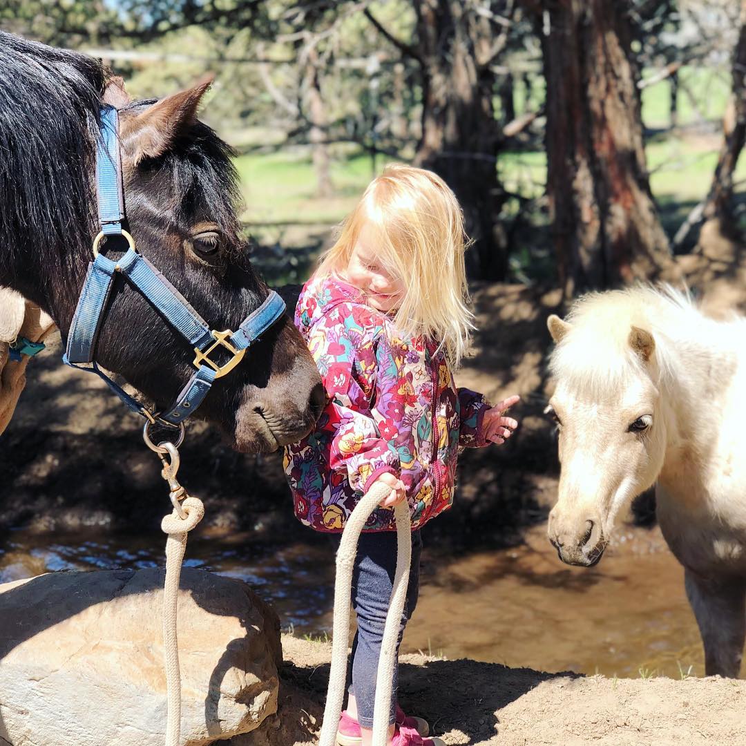 Be still my beating heart! 1-year-old Revi holding the lead rope of 3-year-old Indy while Tinker comes over for love. Tinker waded through the canal go get to Revi. ....................#ponylover #ponylife #horsefriends #horsegirls #horselover🐴