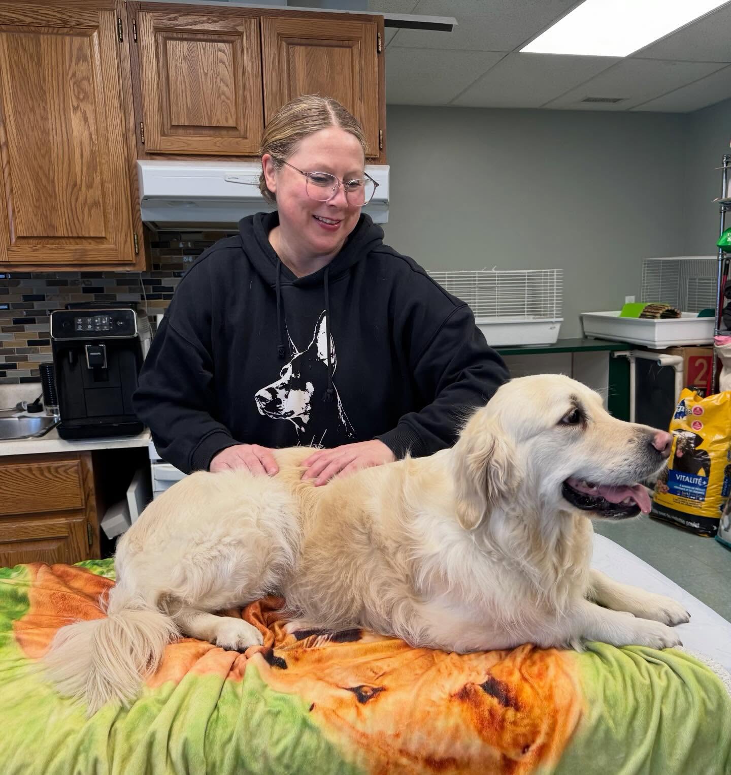 We were all a little jealous of Lenard as he enjoyed his after-daycare massage this week! Thanks @barkingblissbodyworks for coming in to work on this sweet boy 🥰