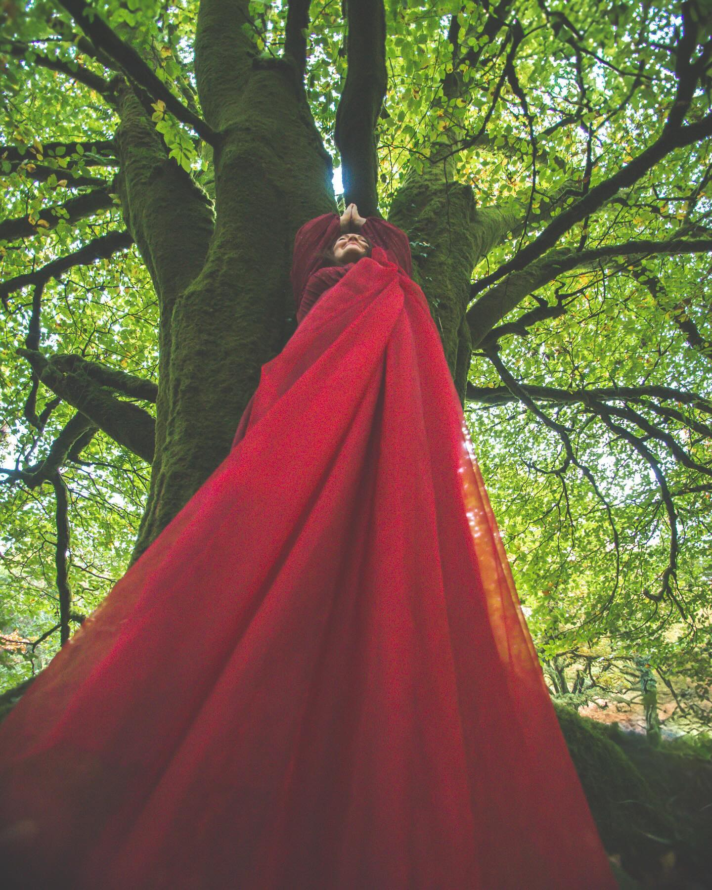 As the year draws to its calendar close, I’m sitting with both the richness and the horror of what its days have revealed, and feeling the resonance of multiple endings, personal and cultural. I have felt myself in liminal space for much of the year, unsure of where life and the planet is heading and often unsure of how to be and what to say here. Against a backdrop of increasing violence and degeneration as the killing machine of patriarchy mows its way across the planet, I have been drawn to return to the feminine and the values that are being ignored and denigrated. In particular I’ve been deepening my study of the work of Jungian analyst, Marion Woodman who wrote much on the importance of bringing the feminine to consciousness. She argued that individuals and societies were meant to grow, and that our best chance for growth is to return the feminine to our culture.
I’m taking this seriously and have begun to focus my work on gathering women in circle as well as continuing to work one to one. I am especially loving working with women across generations as they begin to question and explore their own relationship with the feminine and are curious about their inner life, which may look very different to what has been prescribed for them by others.
However, this is more than a personal quest, leading others in their own personal quest. It’s more systemic than that.
To read more, go to my latest Soul Notes on Linktree and check out my new website at theembodiedsoul.co.uk
Huge thanks to @vanessatuckerphotography for the image above and for all the stunning images on my site. She is a photographer of the soul and I am deeply grateful.
#marionwoodman #thedivinefeminine #womenscircles #adifferentvoice #carolgilligan #ahumanvoice #hundredthmonkey #jeanshinolaboden #jung #theembodiedsoul #psychotherapistsofinsta