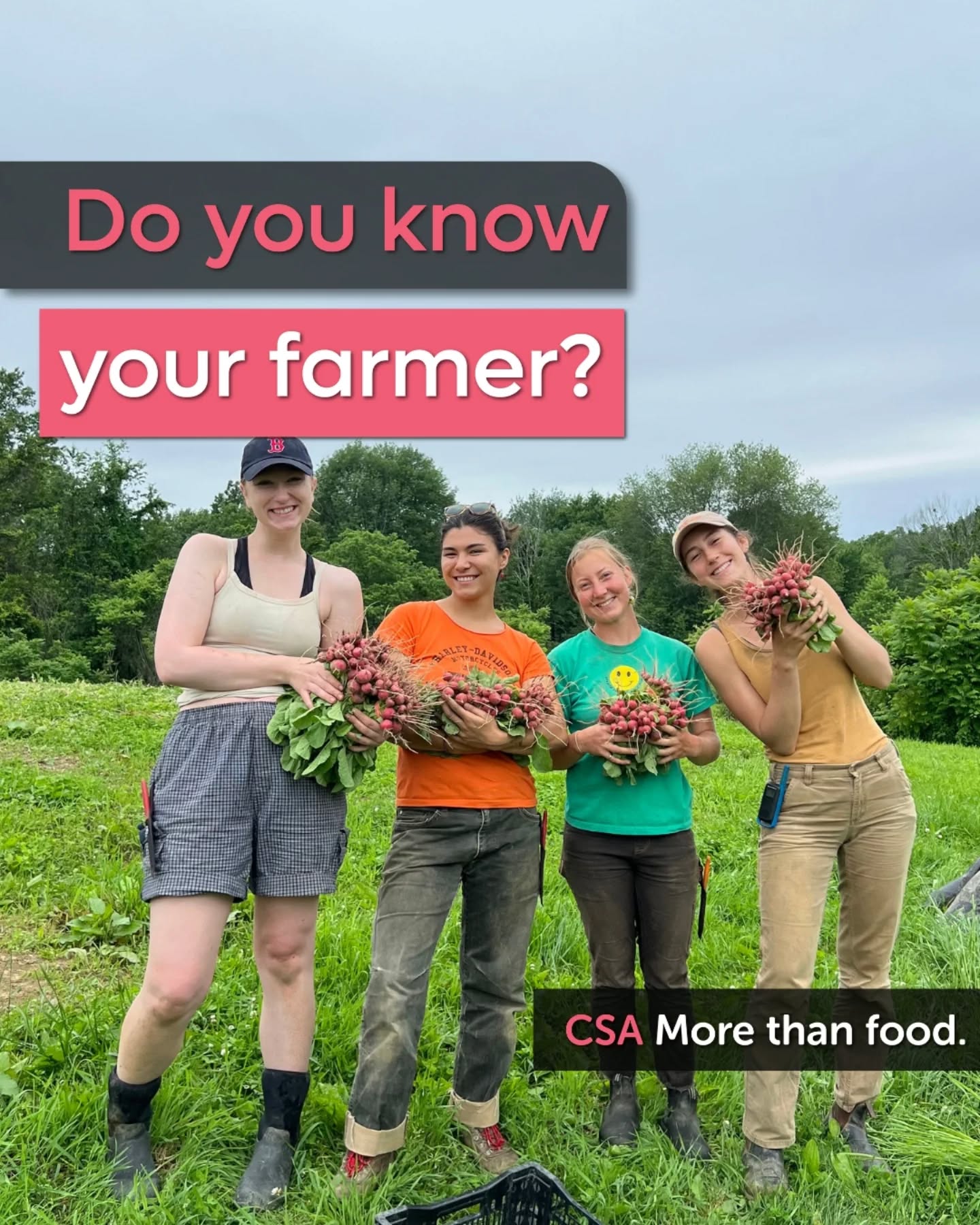 Did you know that Feb 15-21 2026 is CSA week? As one of the first CSA farms in the area, we're so honored to have a 30 year history of following a farm model that centers community, locality, vibrant health, sustainable land stewardship and multigenerational education. Here's to many more years of feeding our beautiful community!
If you haven't yet, you can go to www.philliesbridge.org/CSA to sign up for your summer share today!
